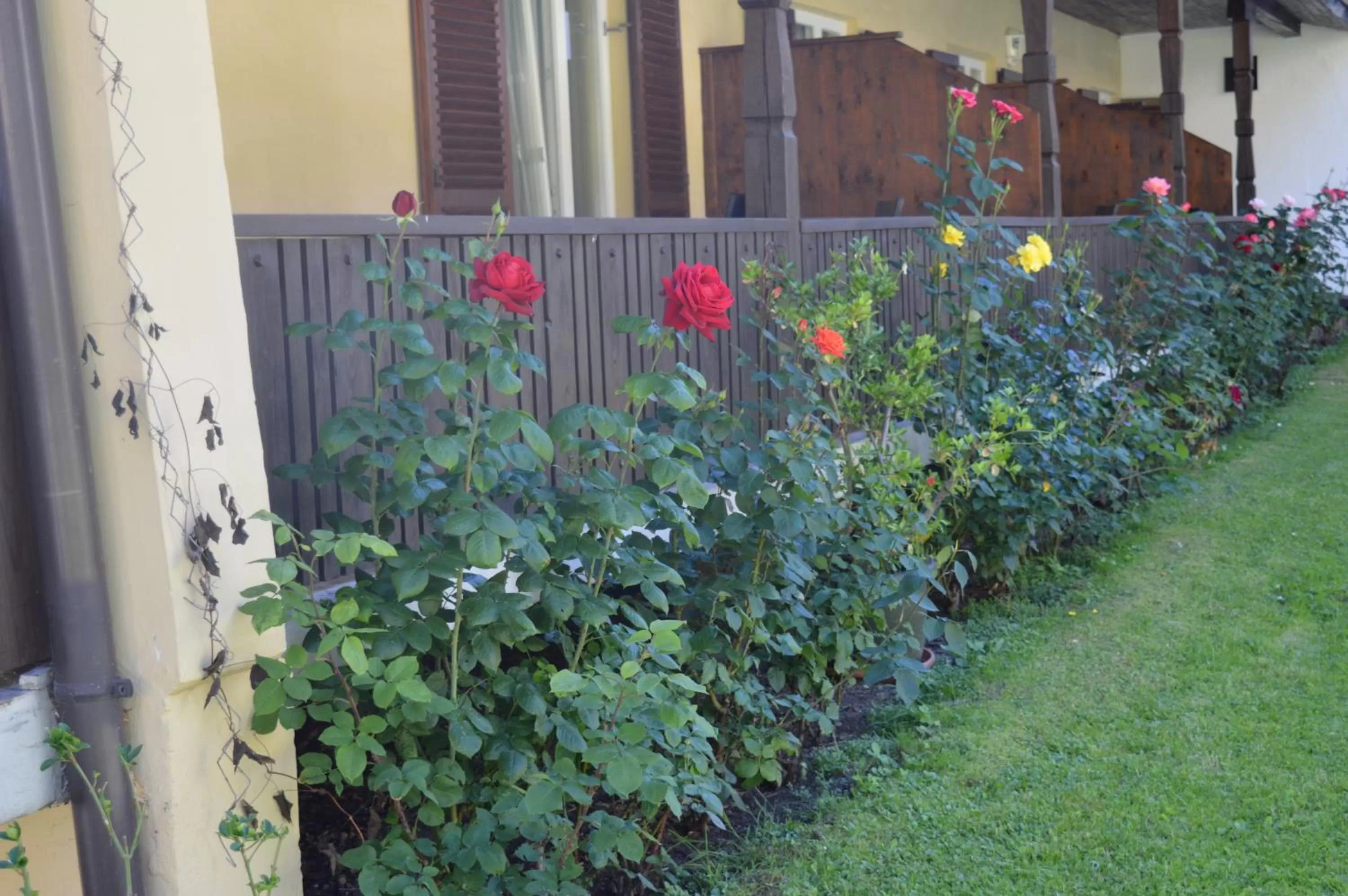 Balcony/Terrace in Gasthof zum Stern