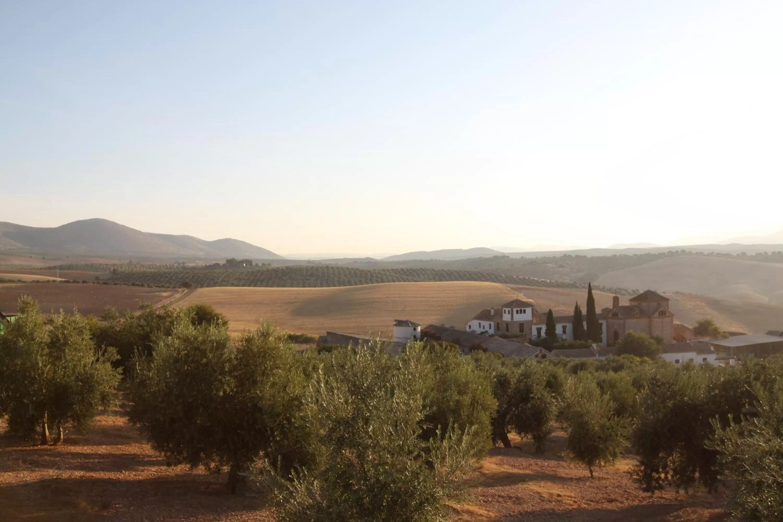Natural landscape in Hotel Cortijo del Marqués