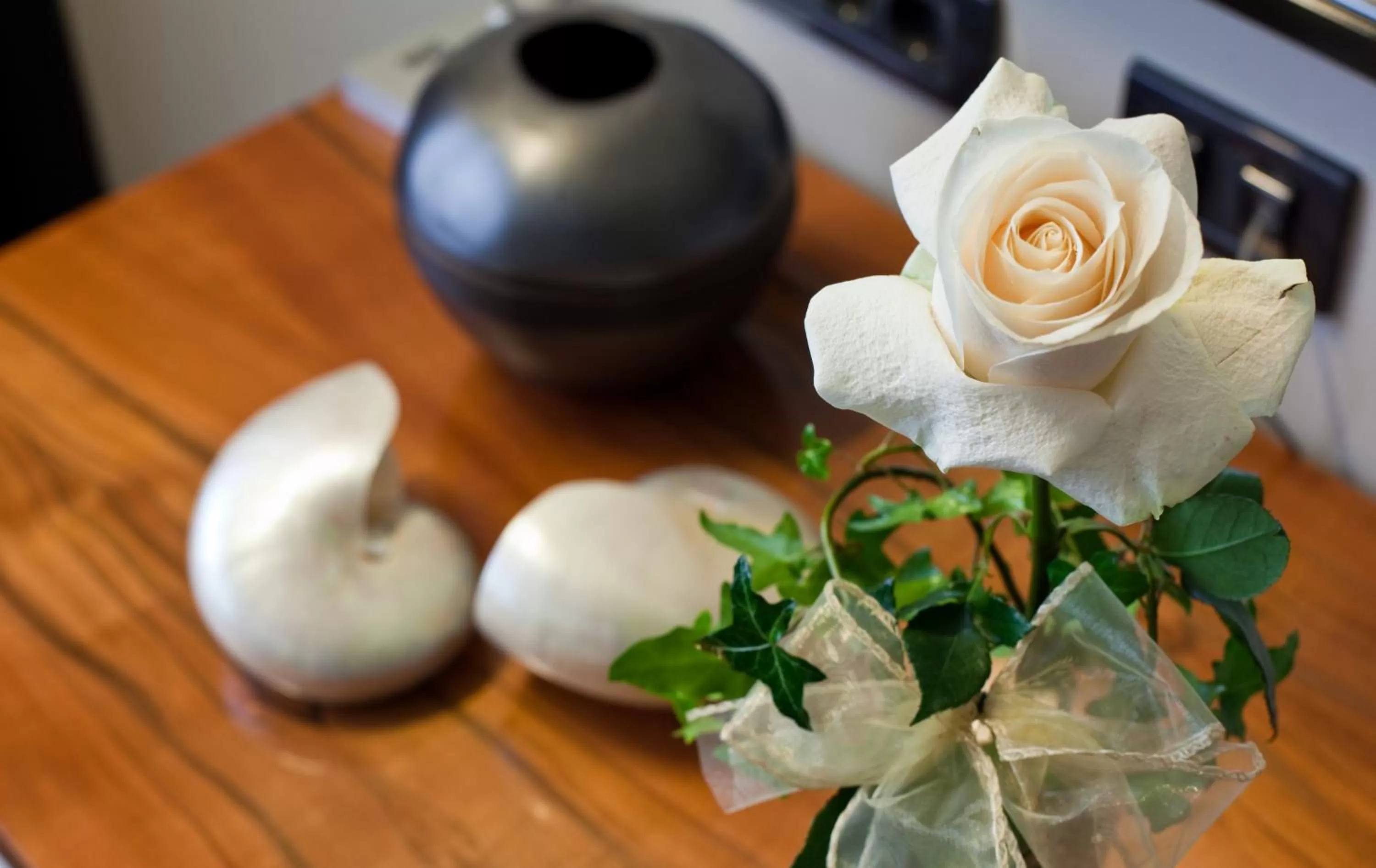 VIP Suite in Hotel Atrium