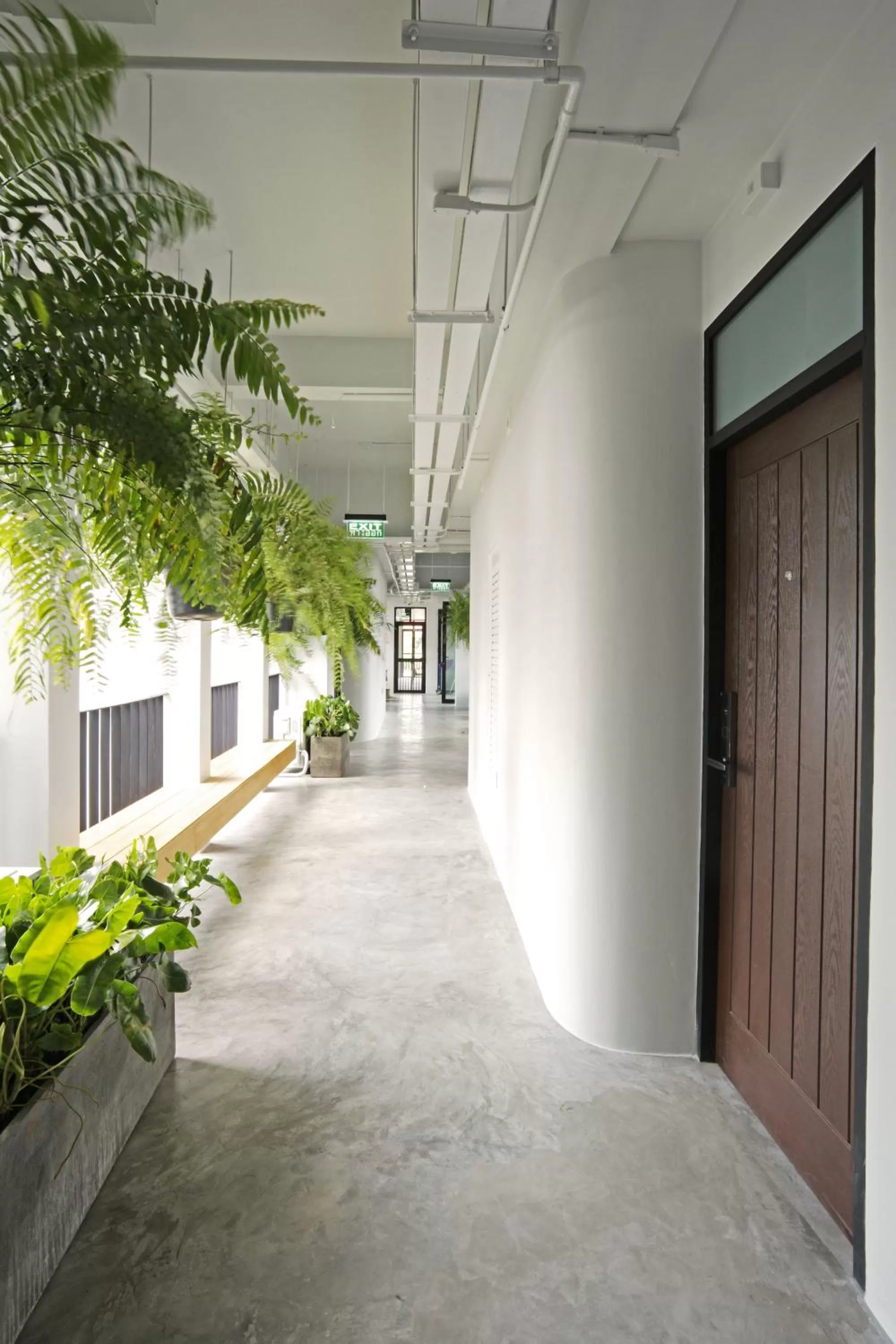 Balcony/Terrace in The Motifs Eco Hotel - SHA Extra Plus