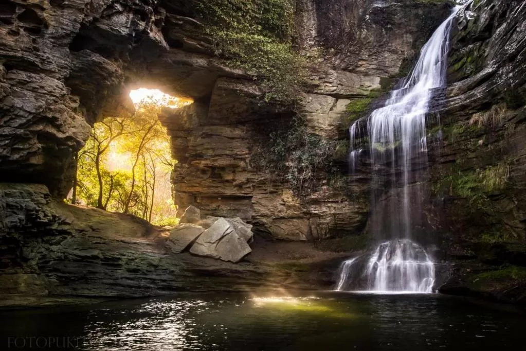 Natural landscape in Hotel Torres Manlleu