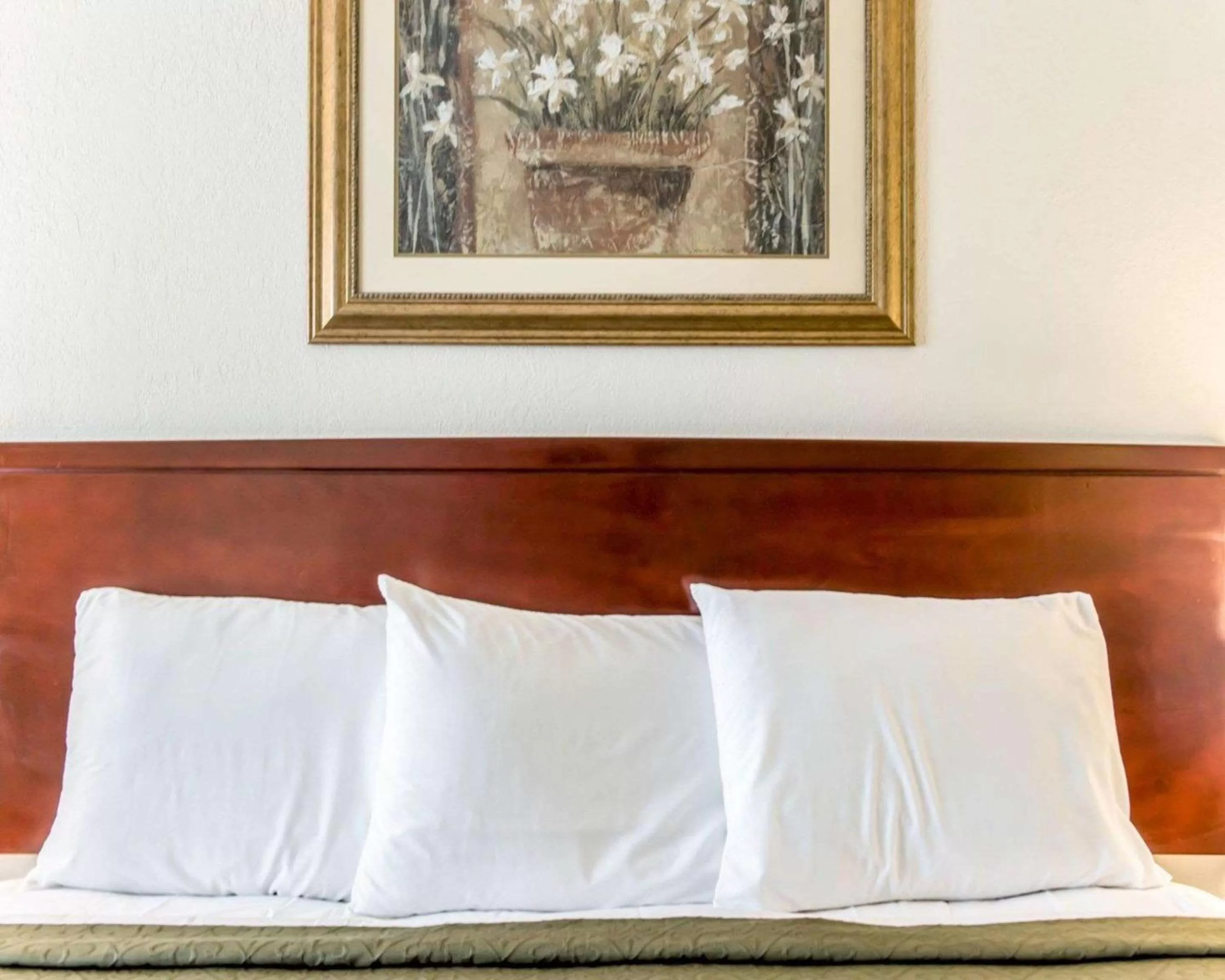 Photo of the whole room, Bed in Econo Lodge Monticello