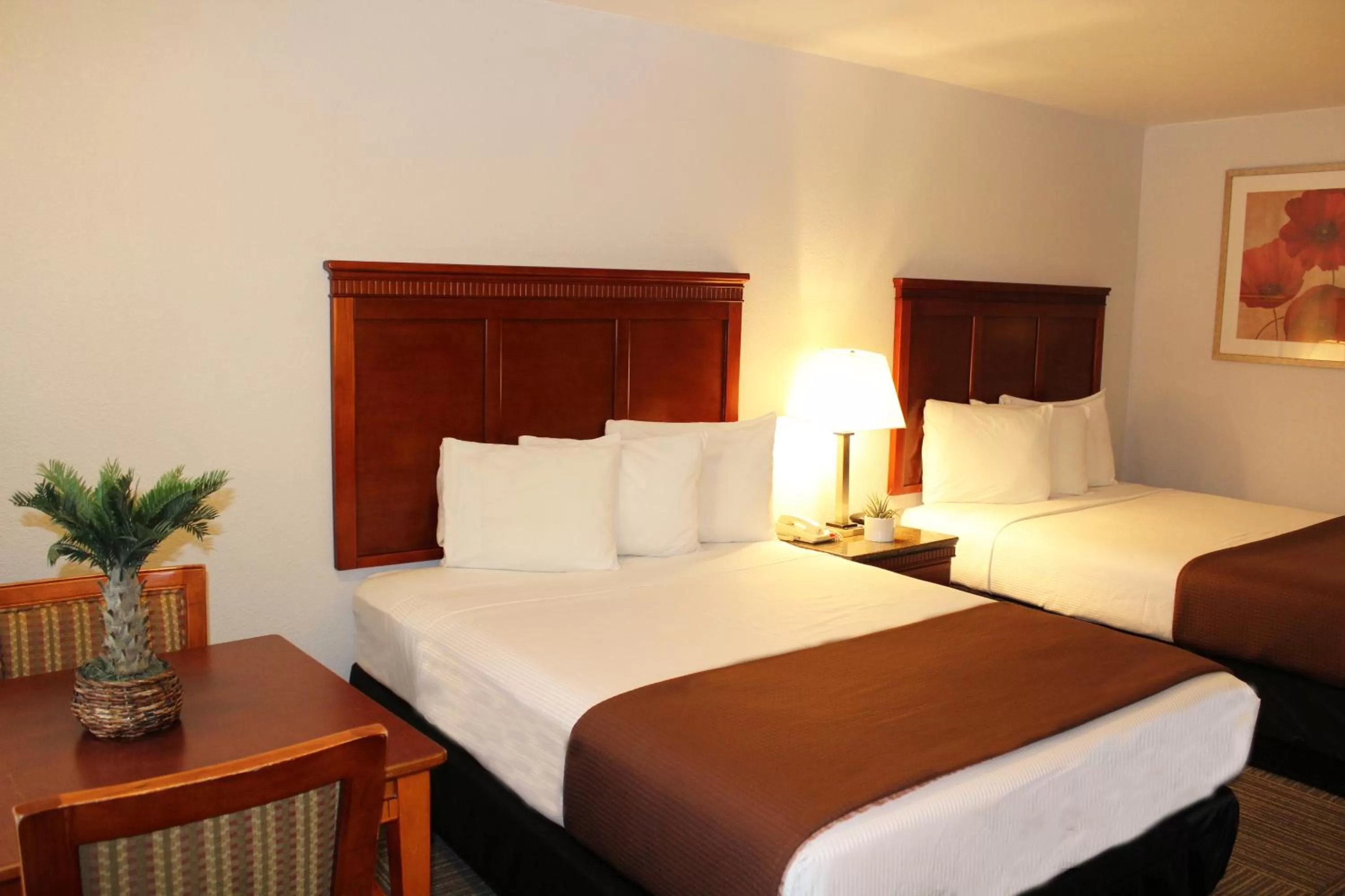 Bedroom, Bed in Rodeway Inn Santa Clara El Camino Real