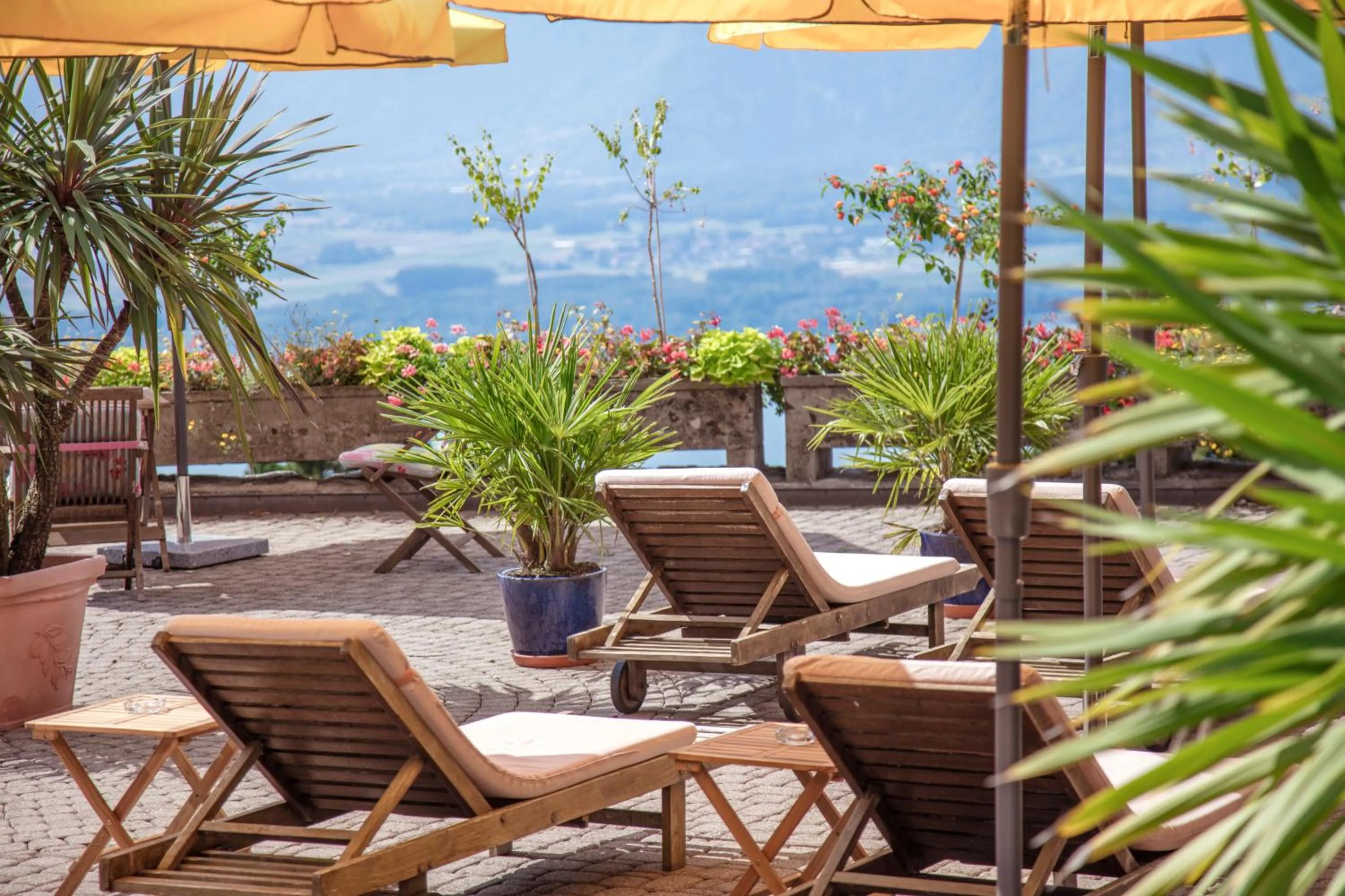 Garden in Hotel Victoria Glion