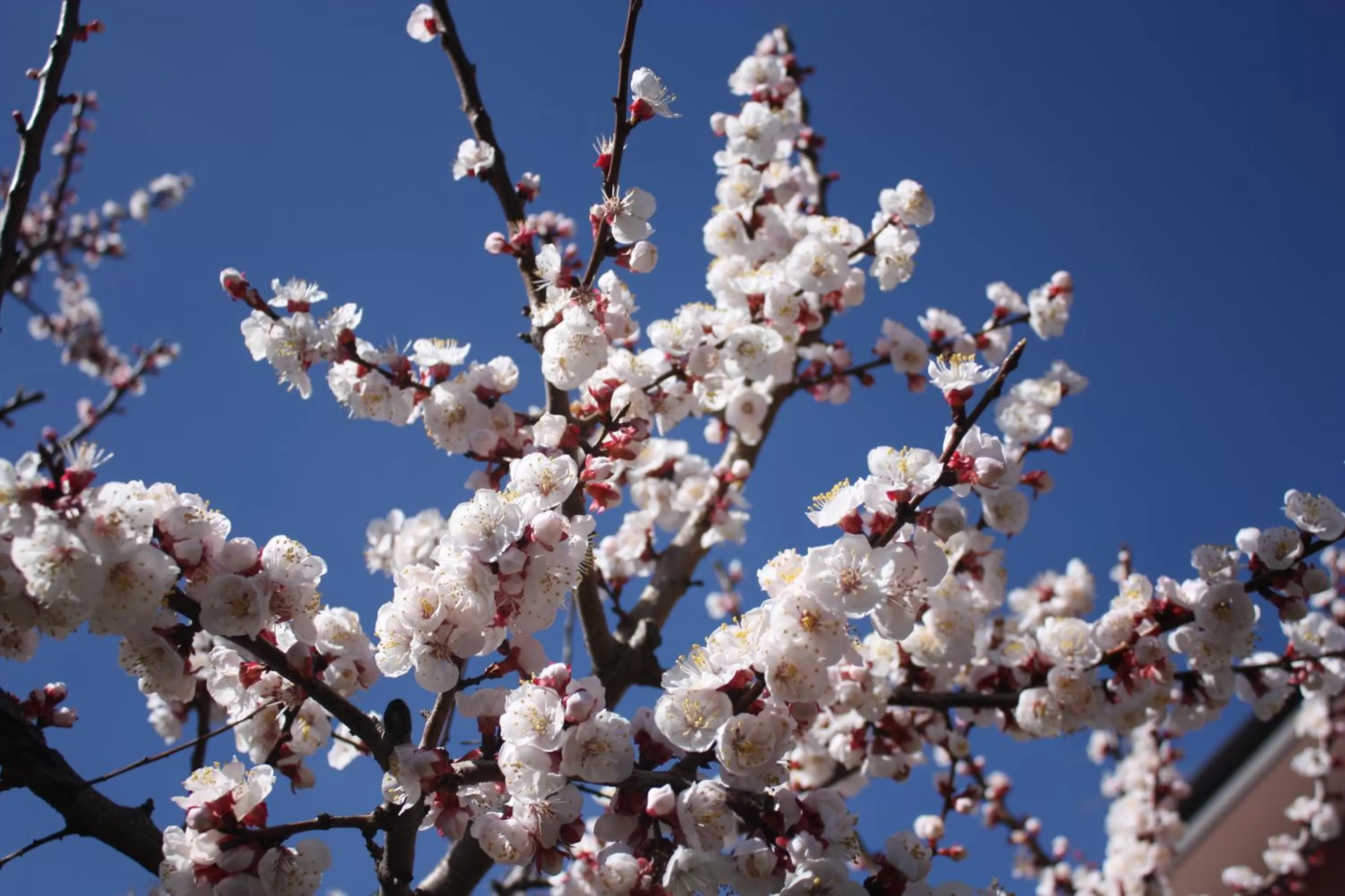 Garden in B&B Casa Di Mari