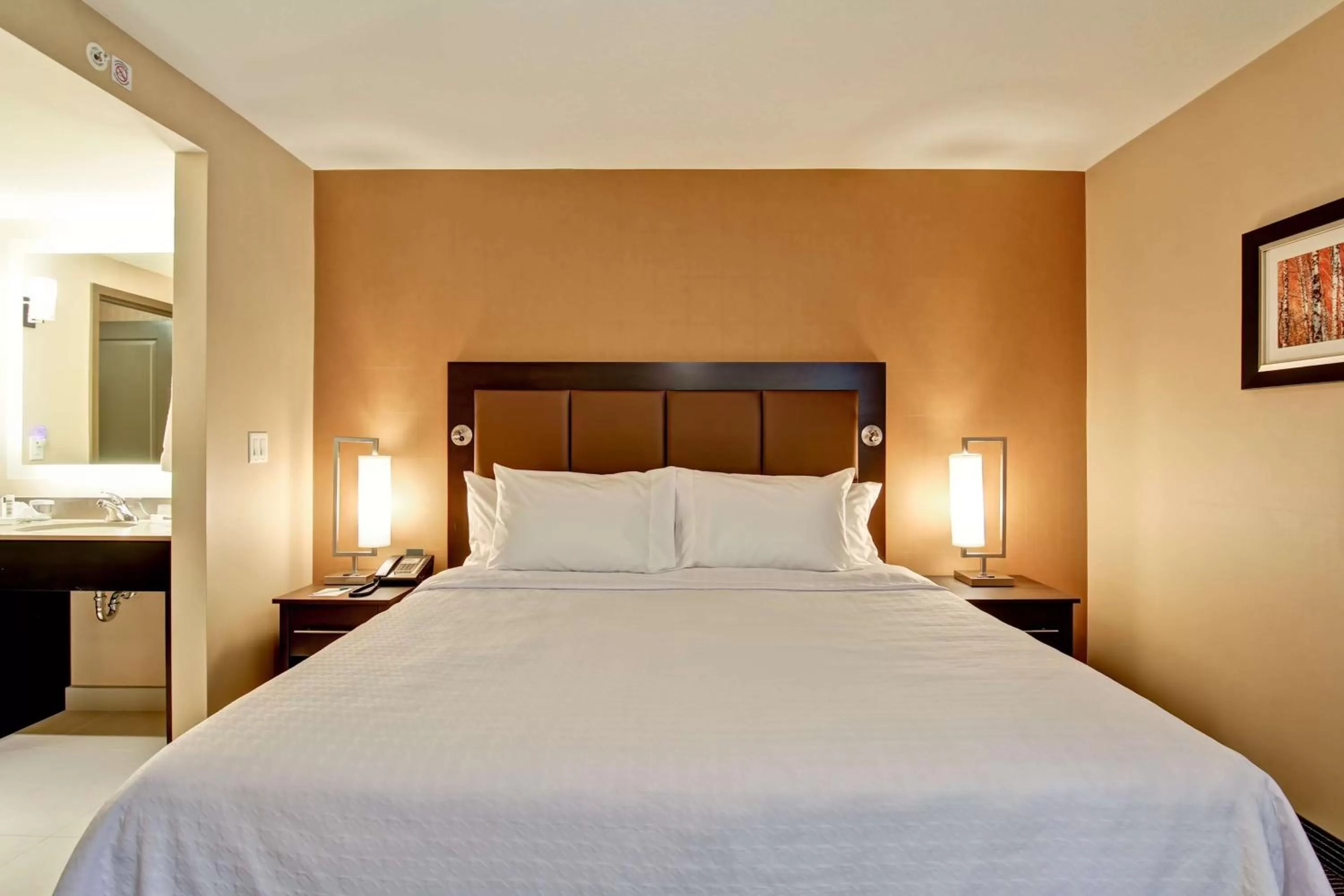 King Studio in Homewood Suites by Hilton Waterloo/St. Jacobs
