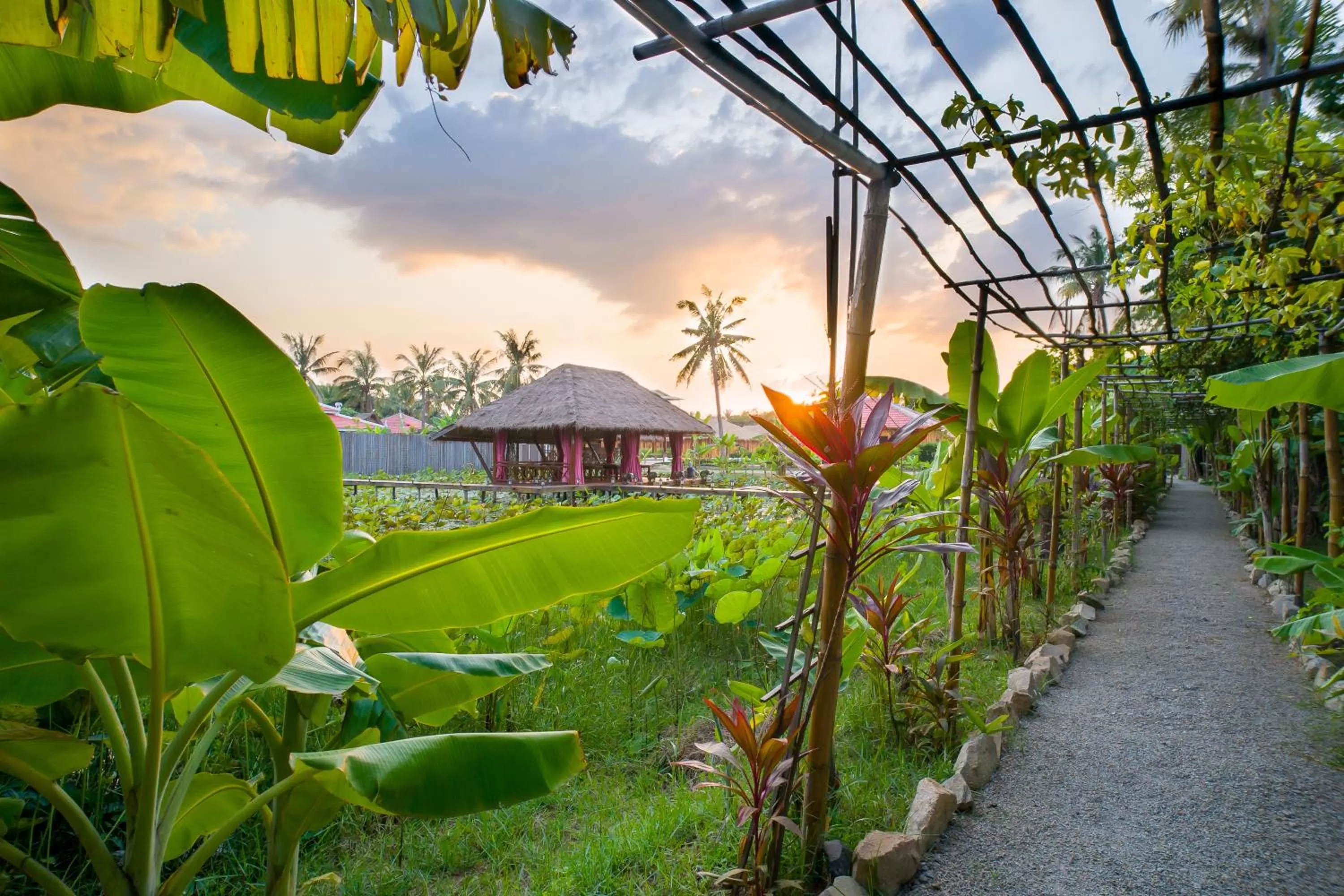 Garden in Authentic Khmer Village Resort