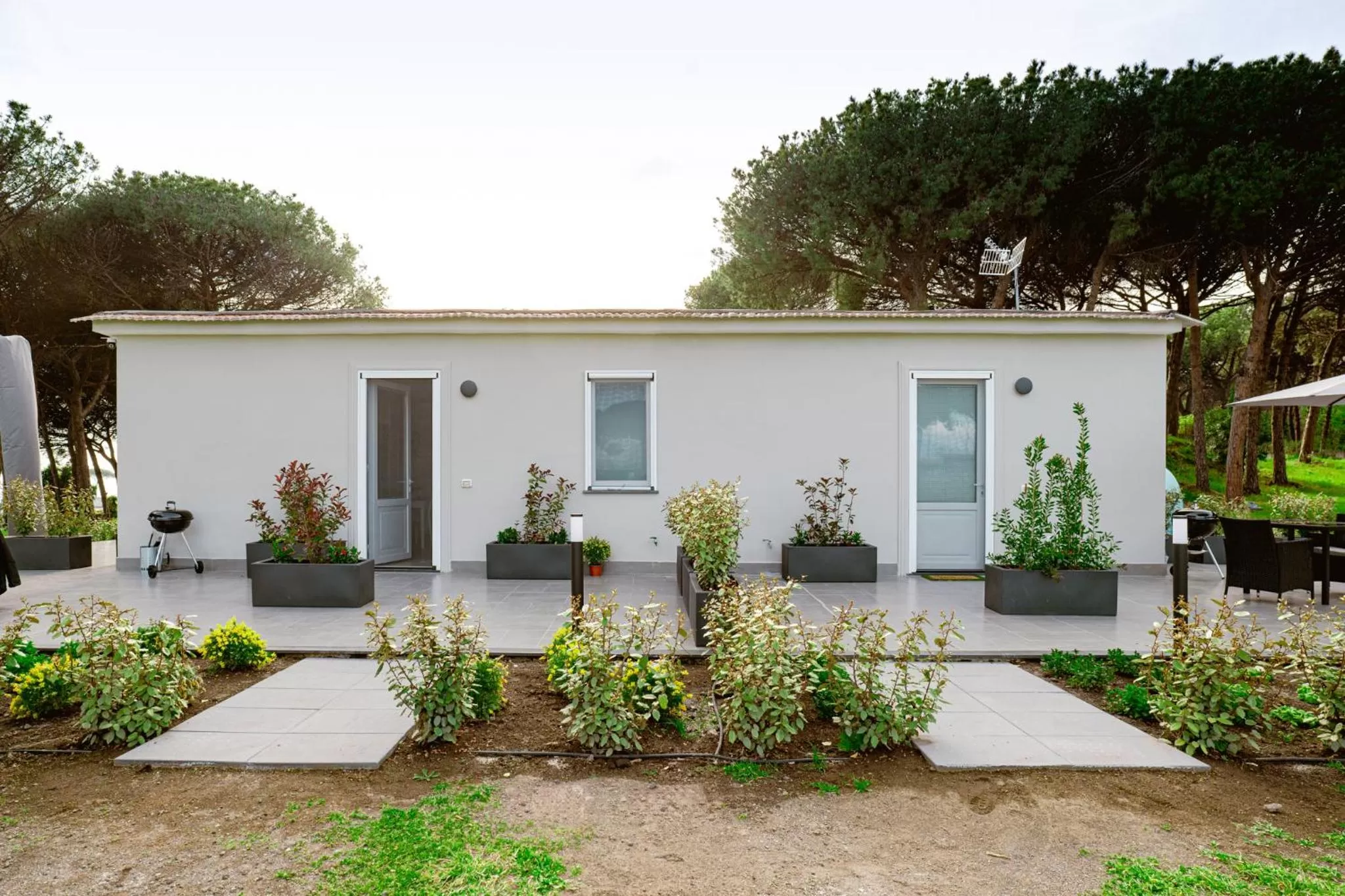 Property Building in Bosco Mattavona