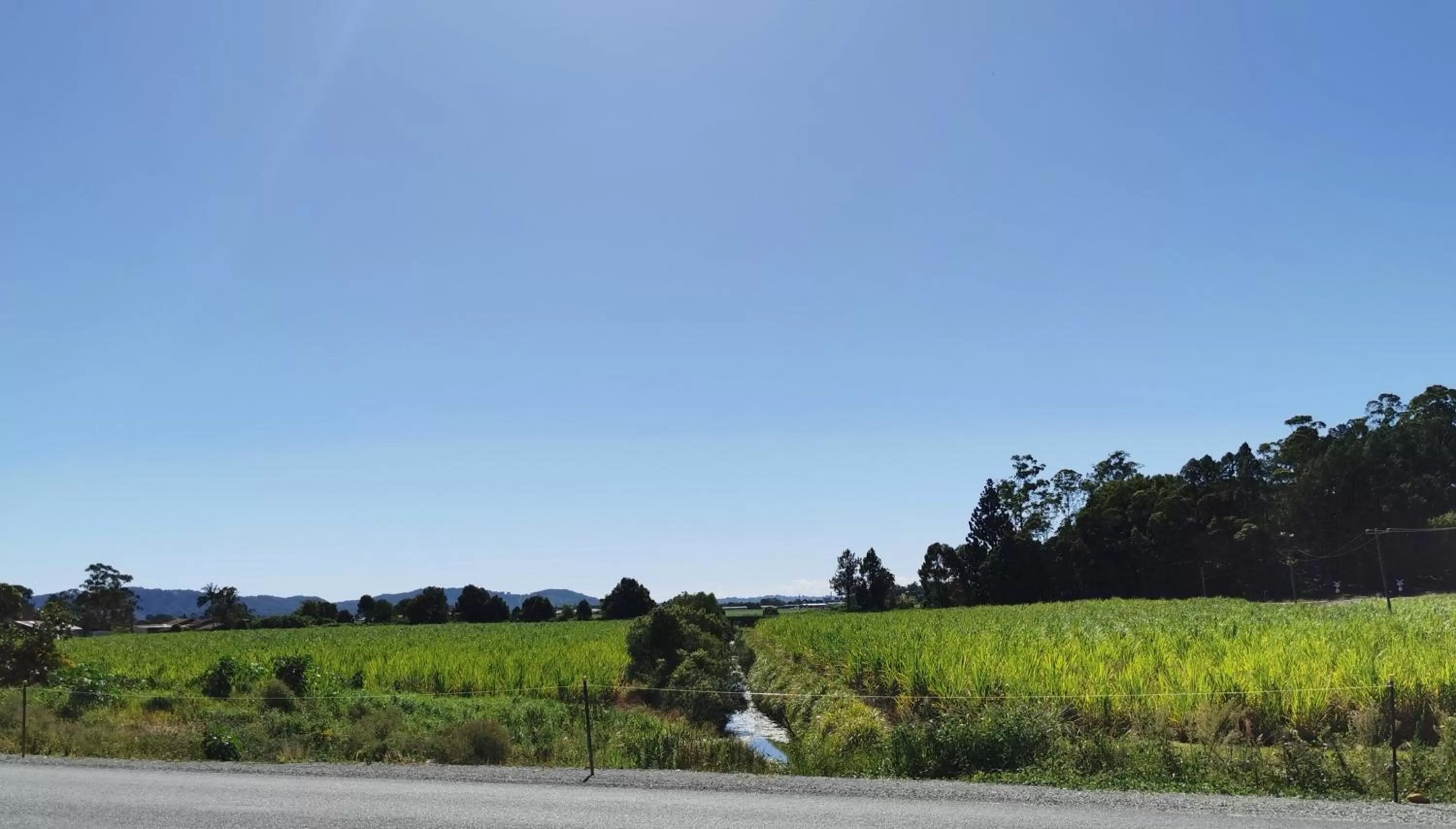 Twin Room in Gallery Motel