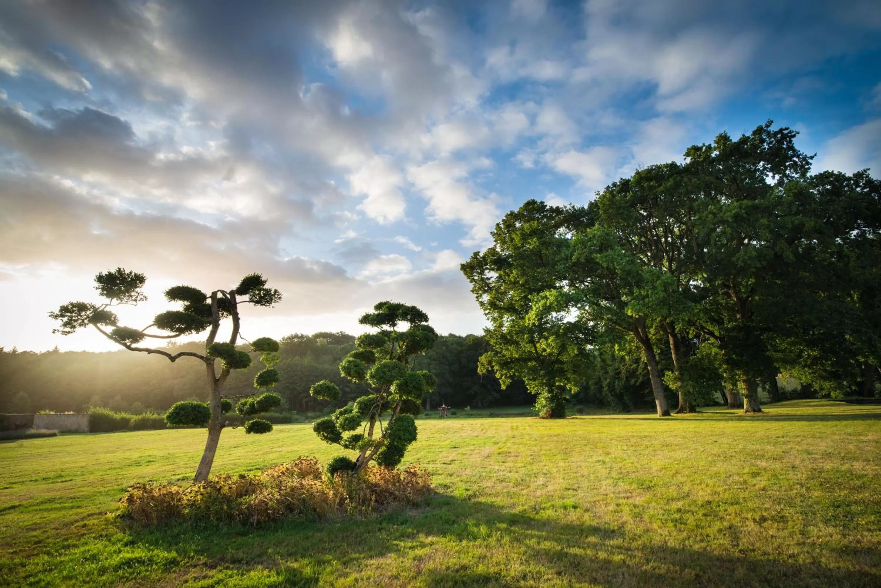 Garden view in Hôtel du Domaine de La Groirie - Le Mans