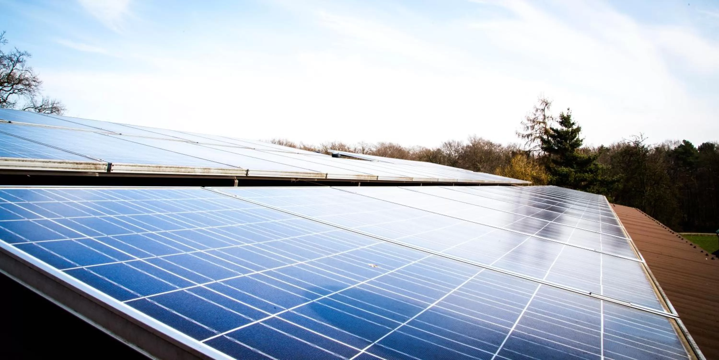 Area and facilities in Hotel Zum Grunewald