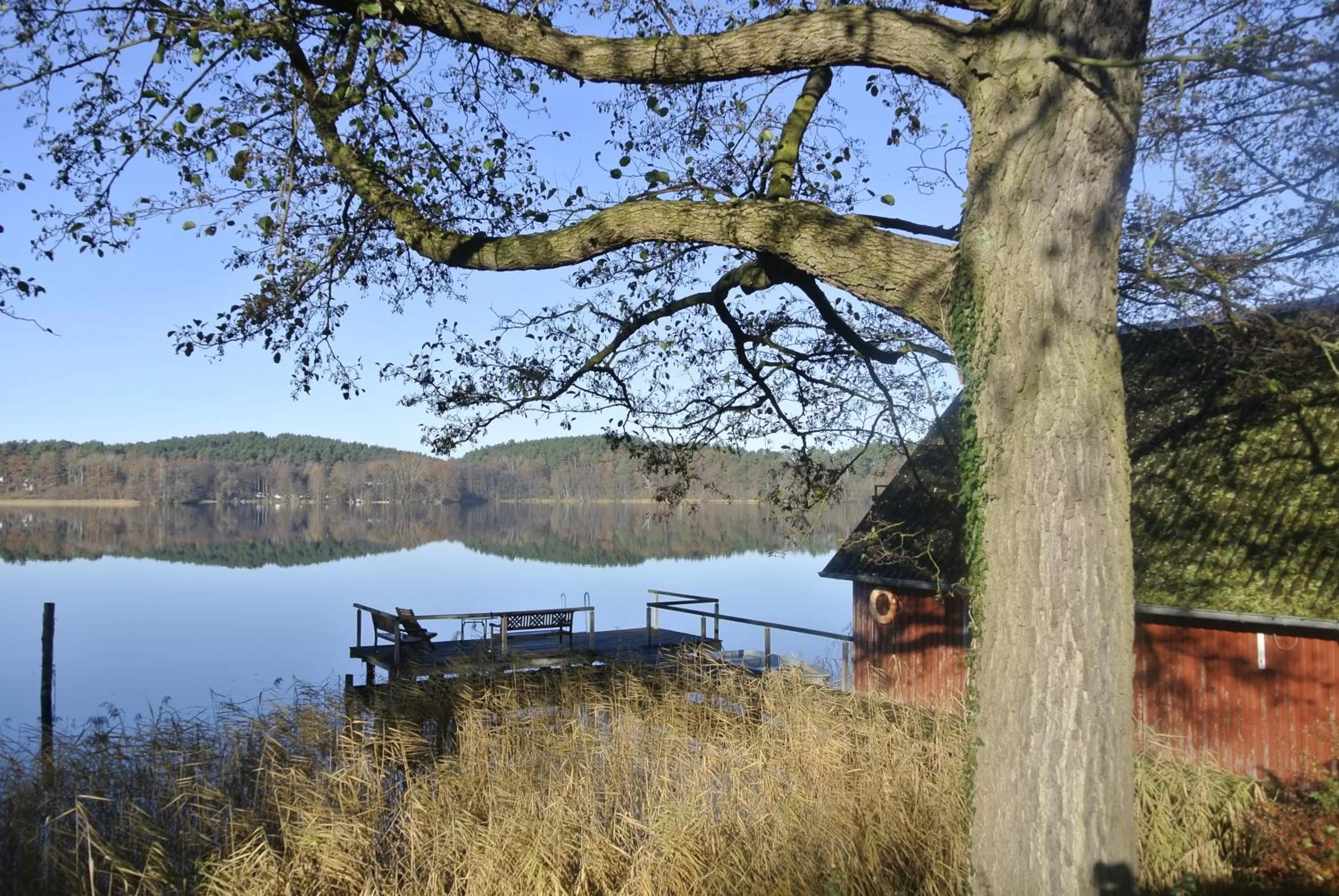 Garden in Seehotel Lindenhof