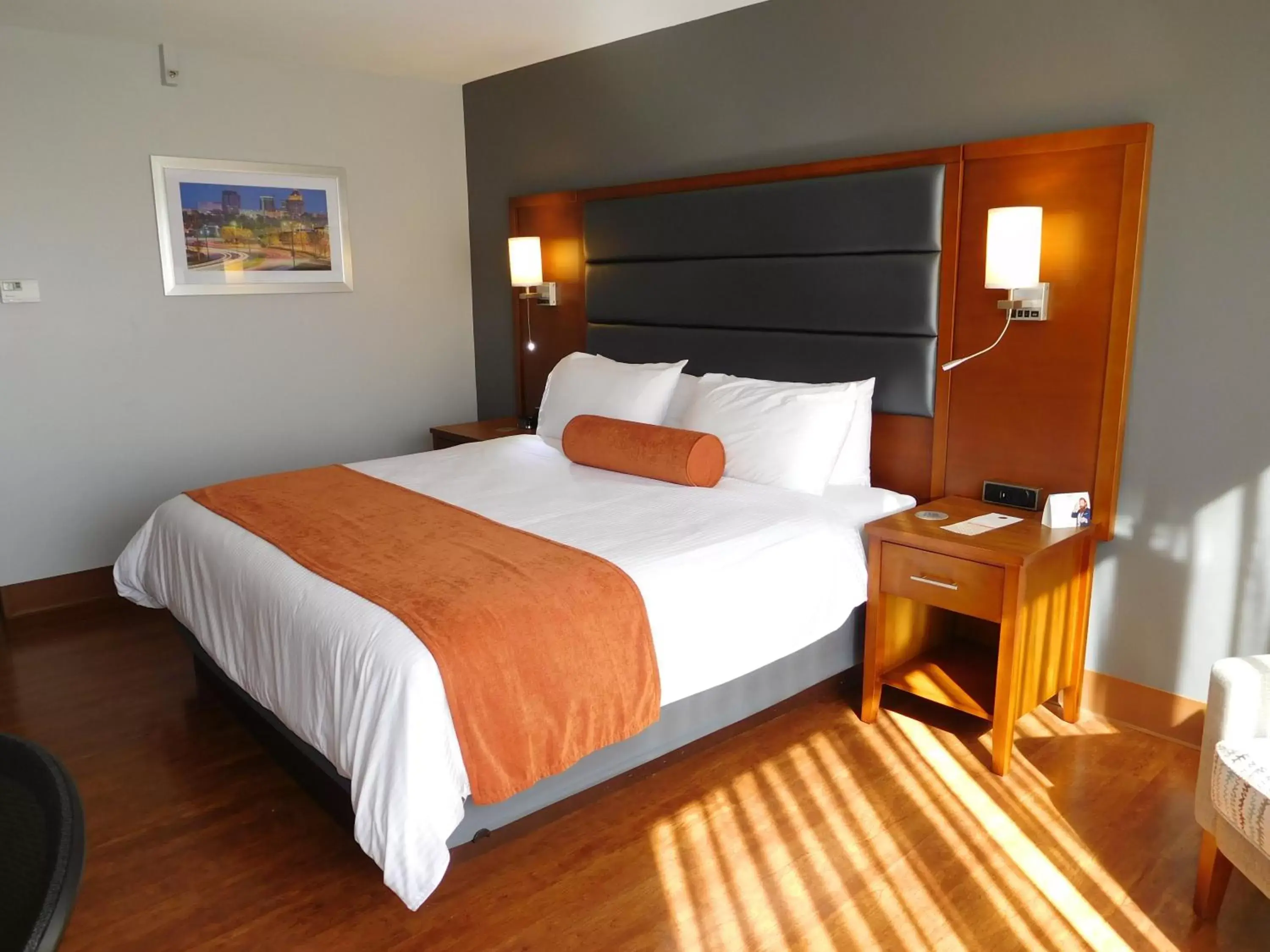 King Room in Wyndham Garden Greensboro King Room in Wyndham Garden Greensboro