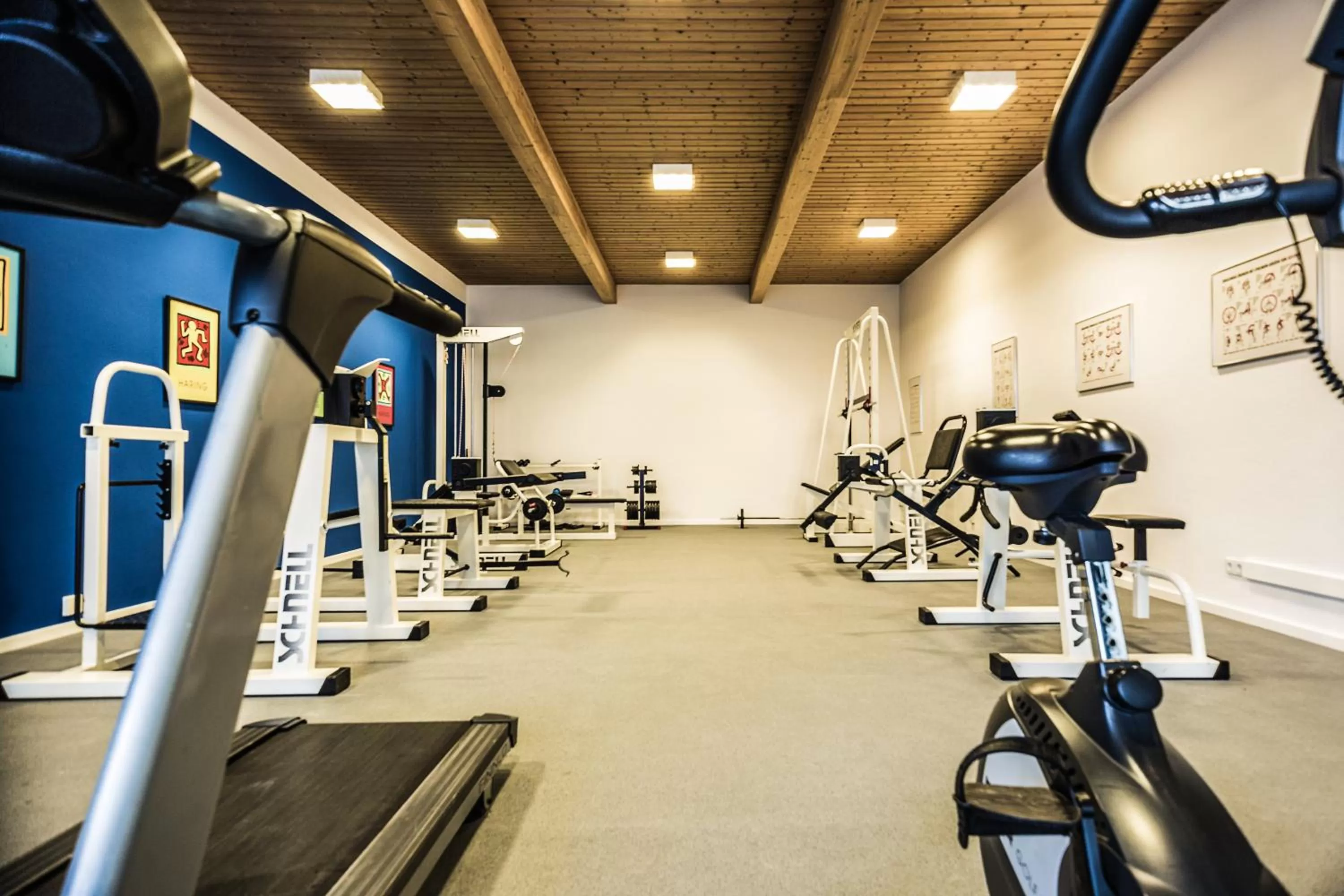 Fitness centre/facilities in Hotel Am Moosfeld