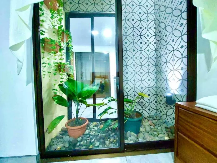 Patio in Airport SJO Residence - Edward & Familia Inn