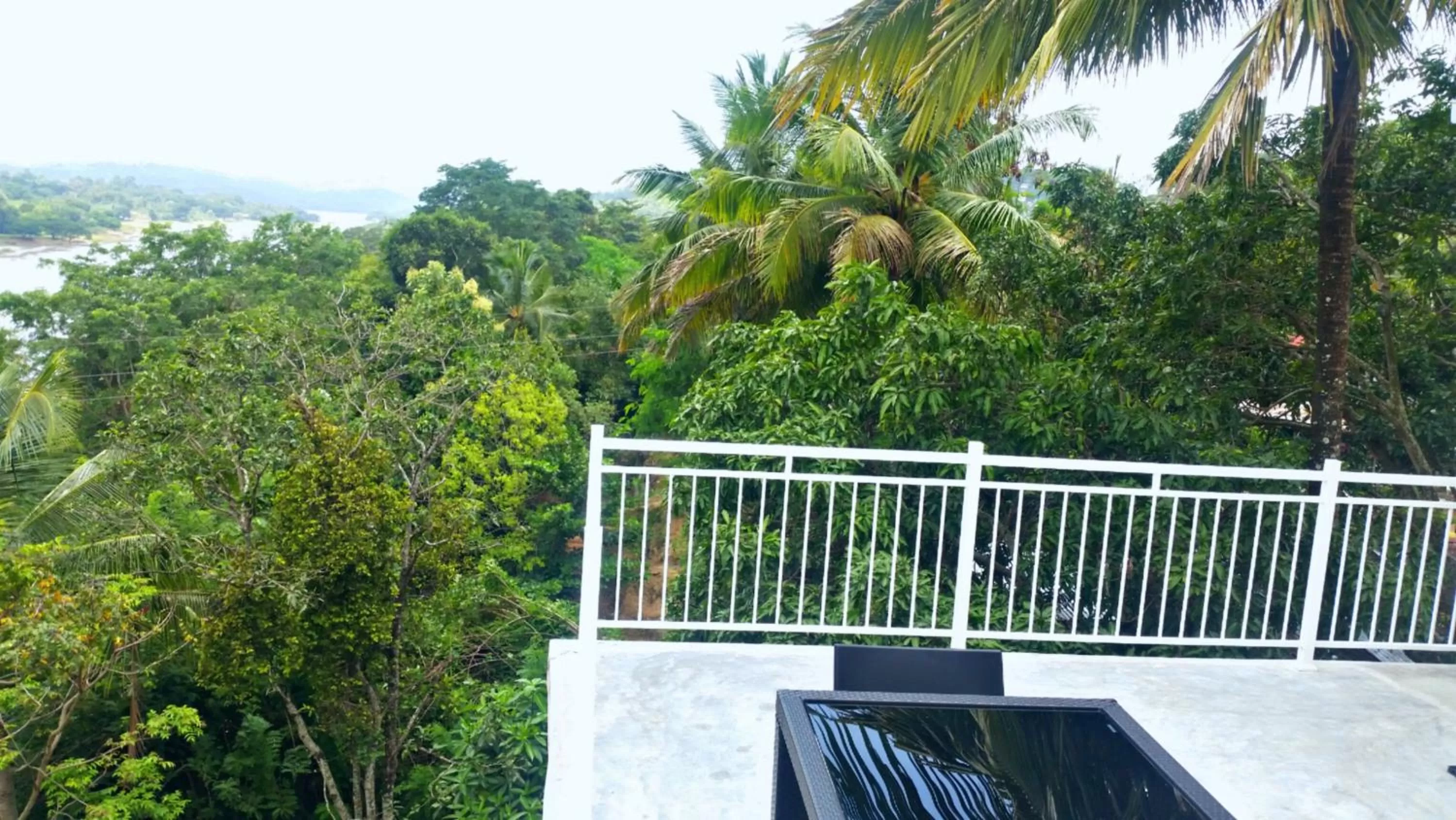 View (from property/room) in Mahaweli View Inn