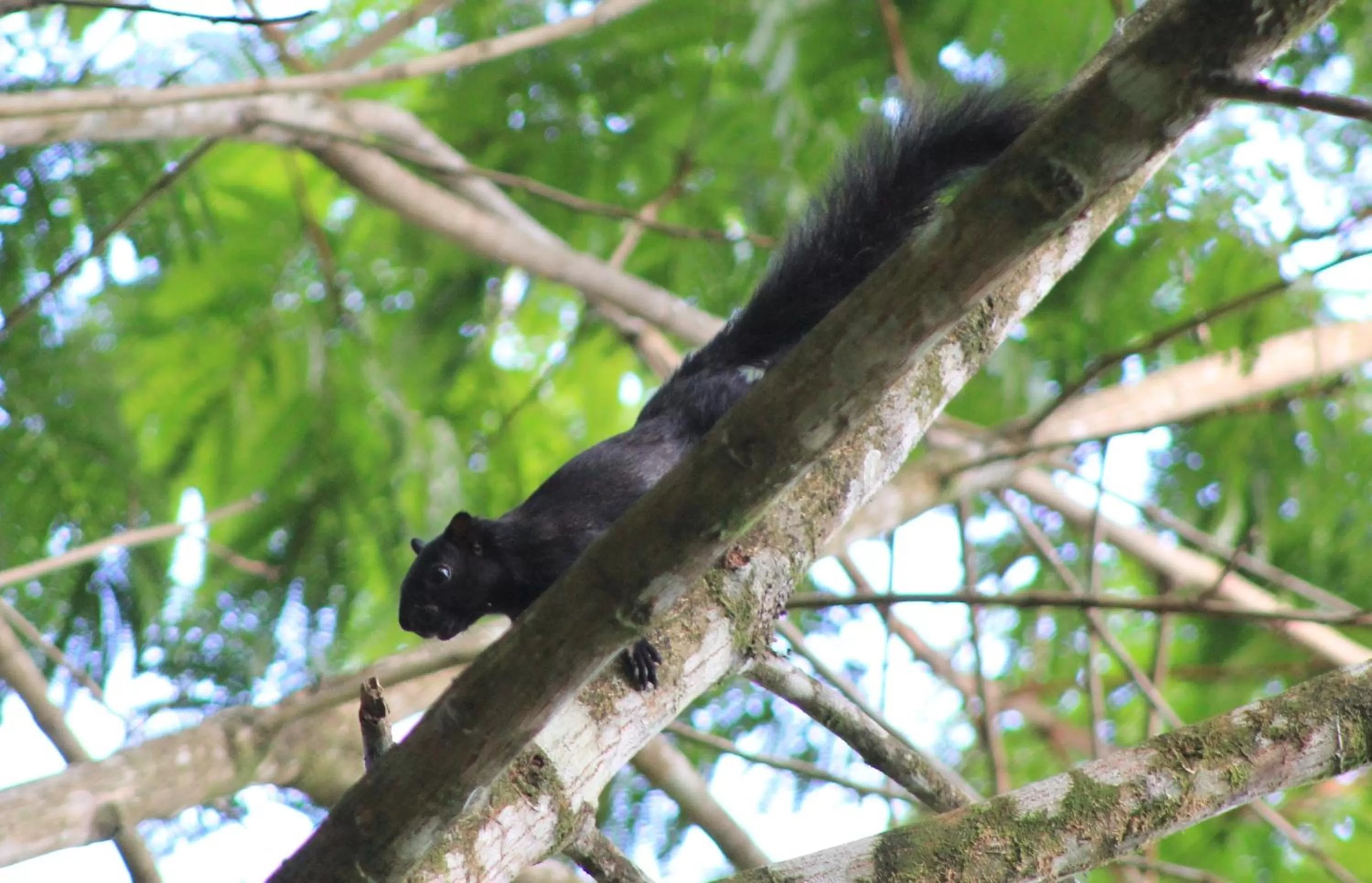 Area and facilities in Hotel Monte Real