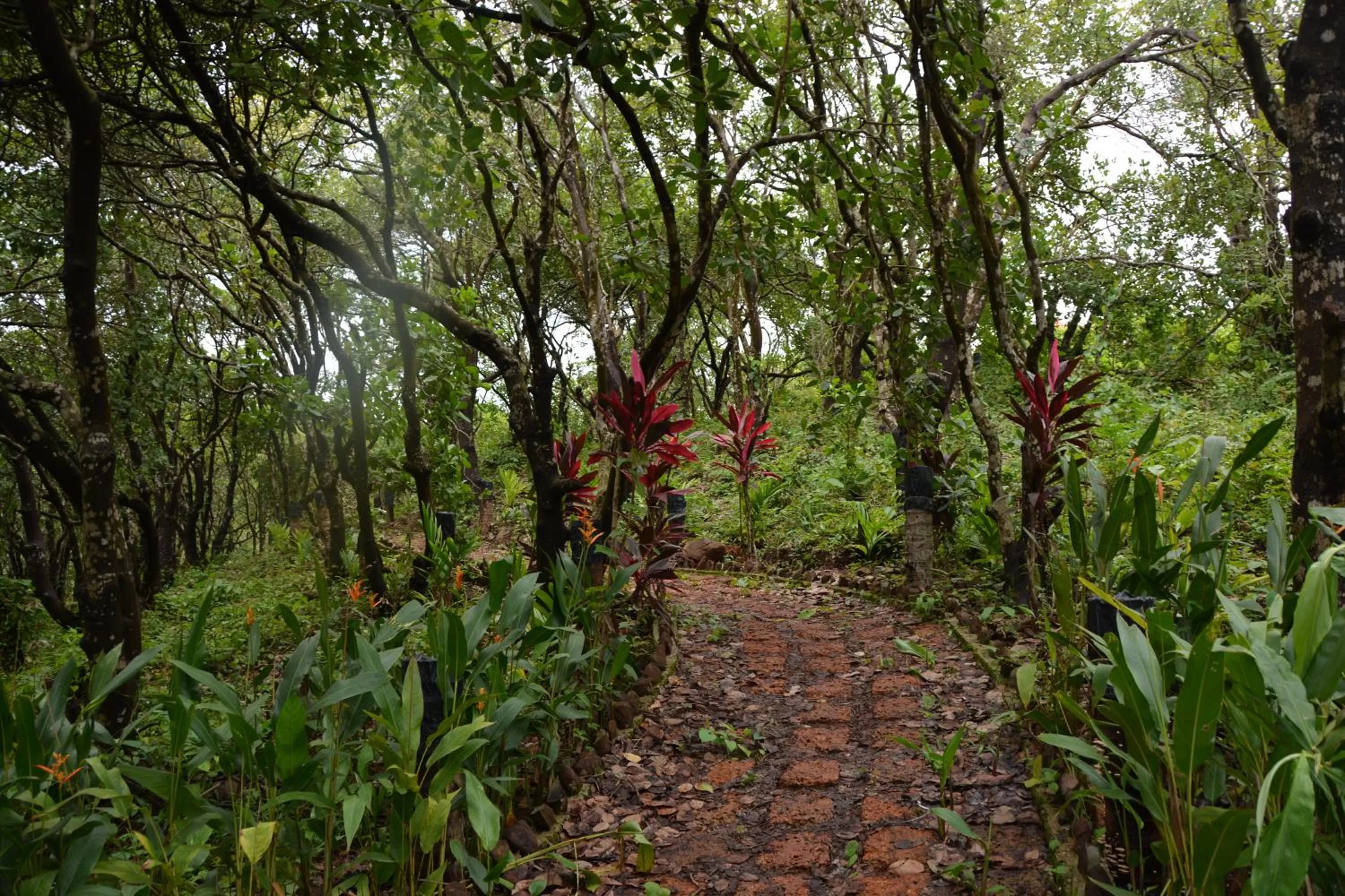 Natural landscape in Porsu