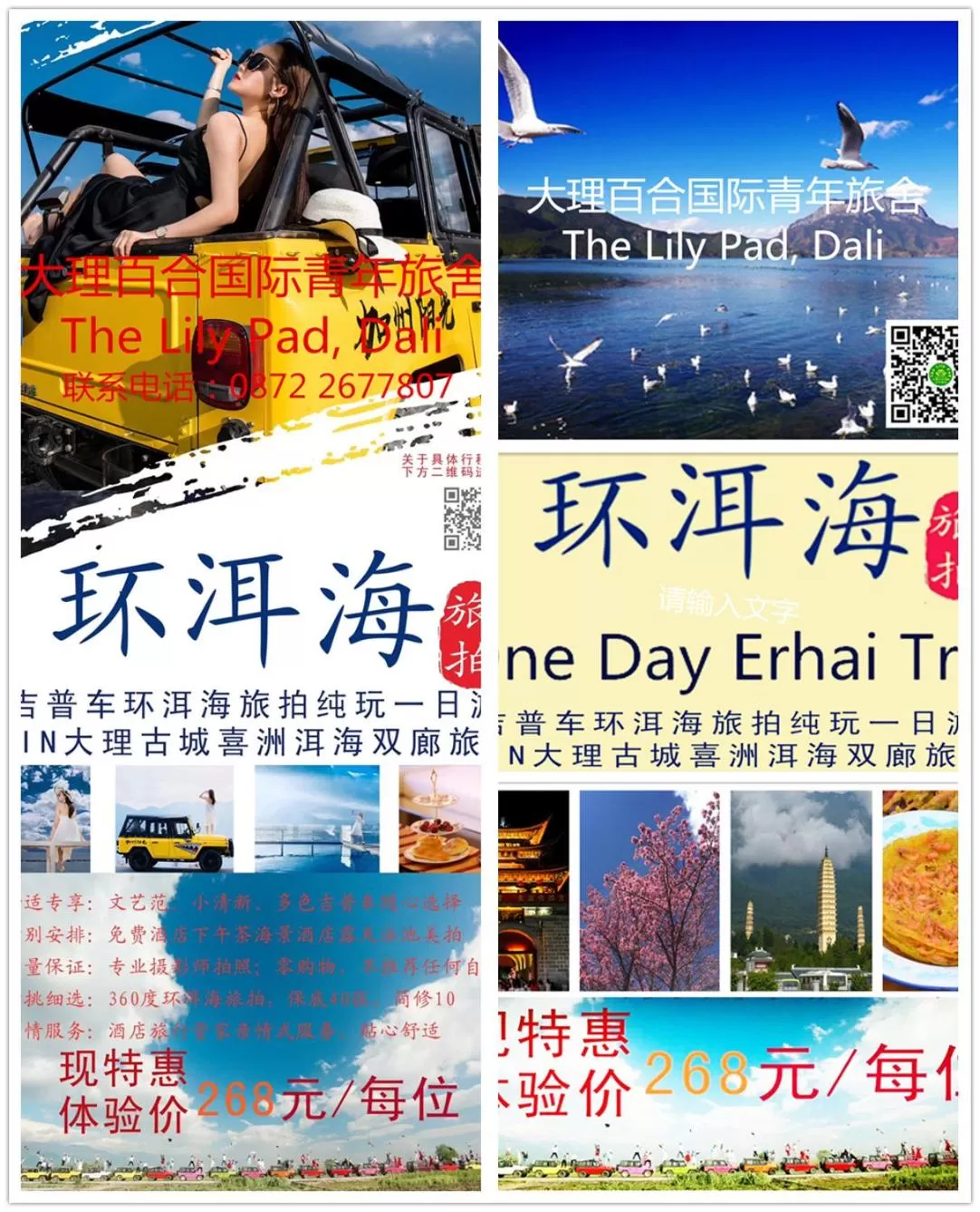 Logo/Certificate/Sign in The Lily Pad Inn