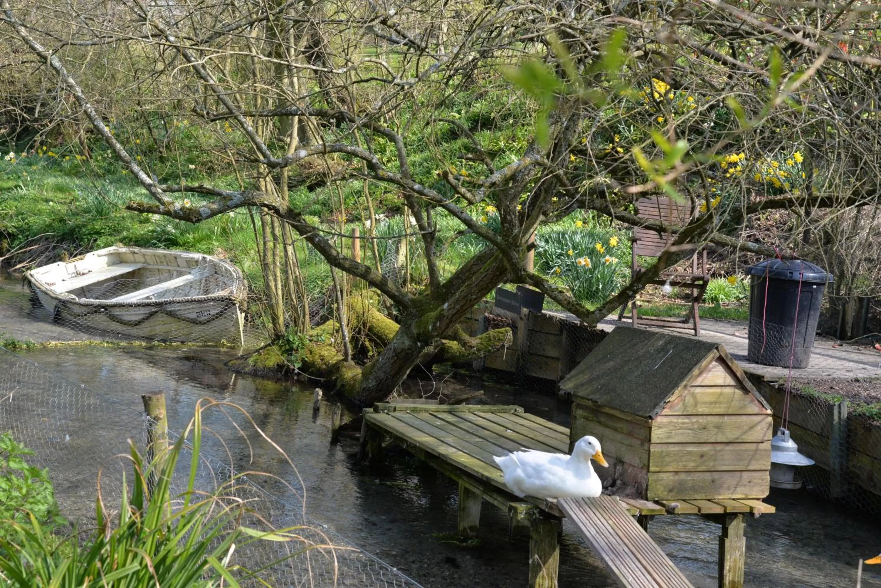 Day in Thatchcombe B&B