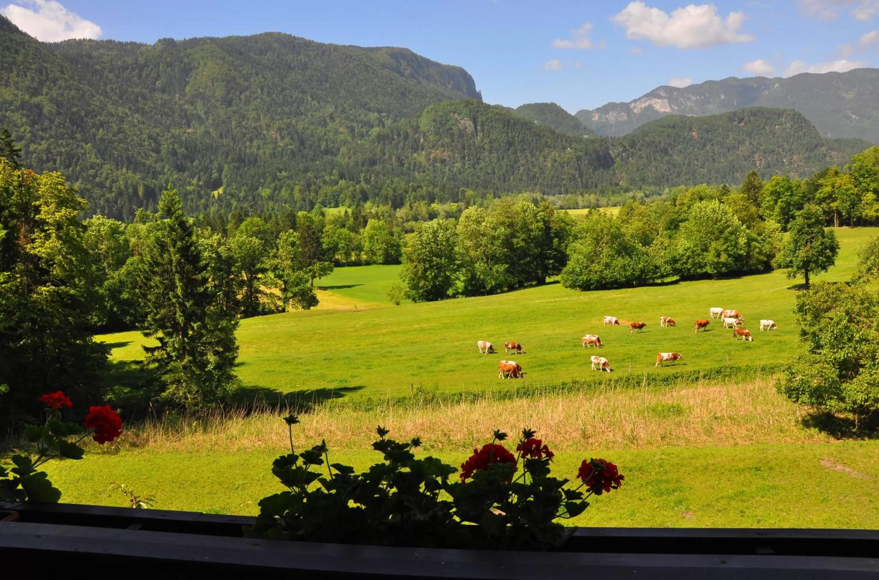 Area and facilities in Nature Hotel Lukanc