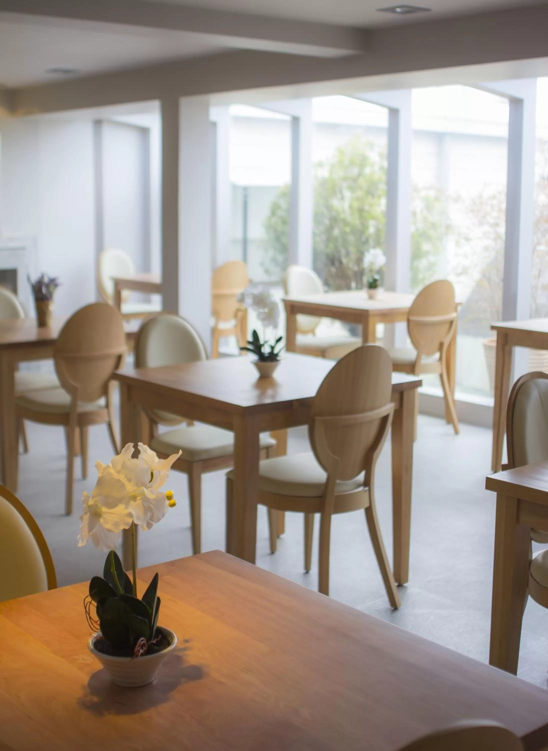 Communal lounge/ TV room in Hotel Las Terrazas Business