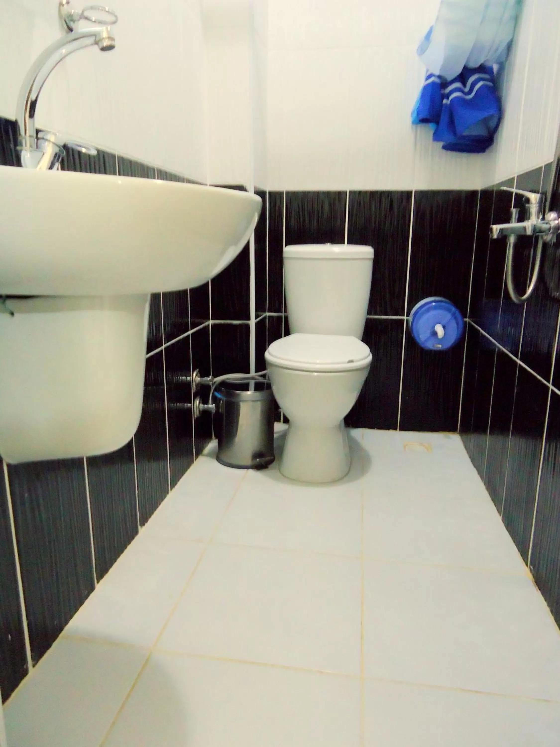 Toilet, Bathroom in Tolga Hotel