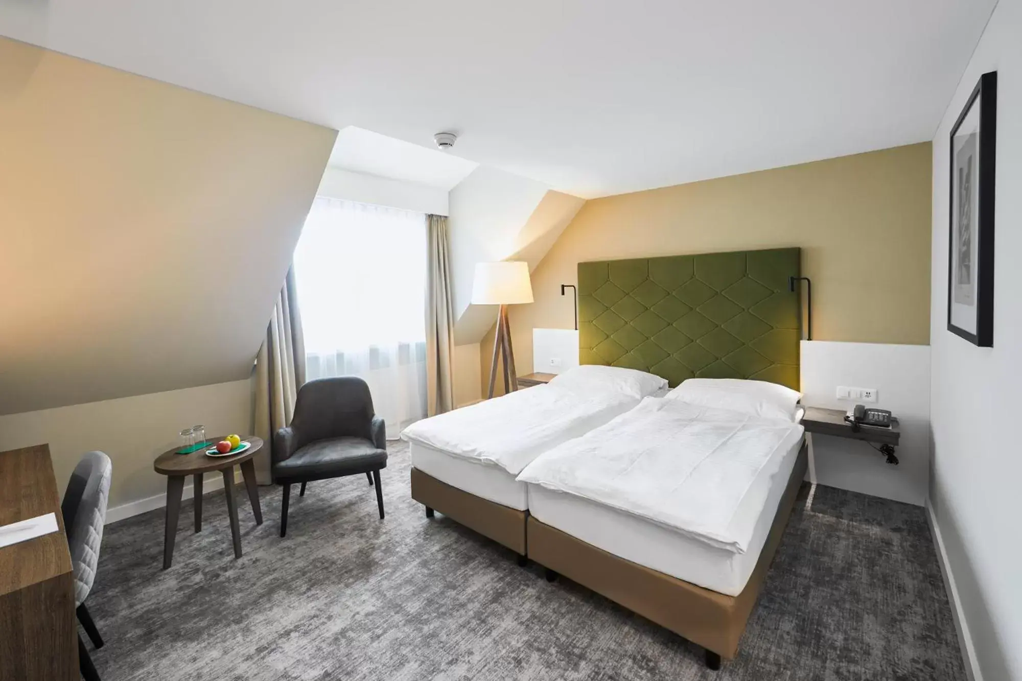 Double Room - single occupancy in Hotel Löwen am See Double Room - single occupancy in Hotel Löwen am See