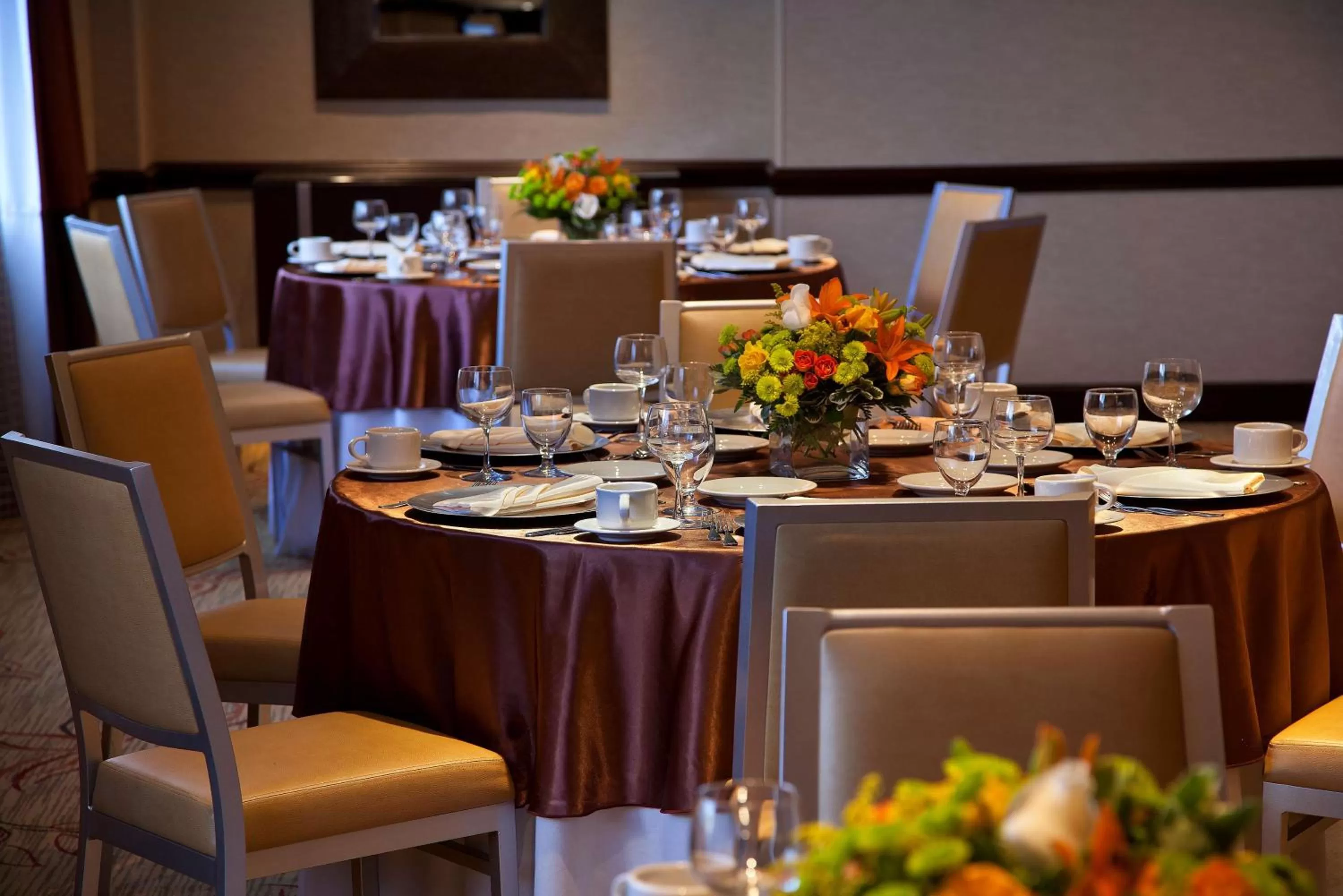 Meeting/conference room in Embassy Suites by Hilton Washington DC Chevy Chase Pavilion