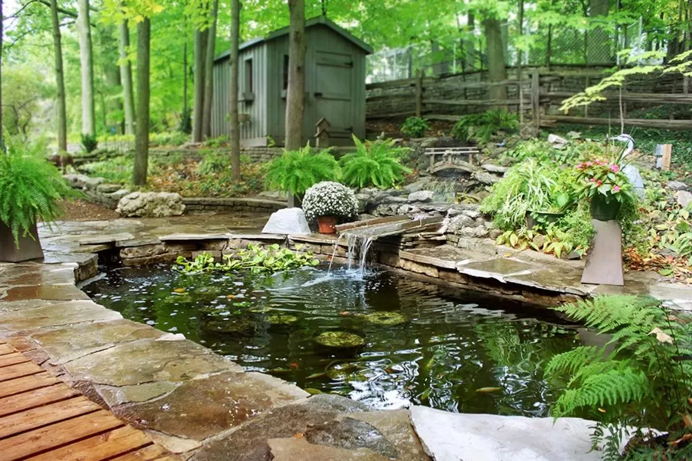 Garden in Forest Hill Bed and Breakfast
