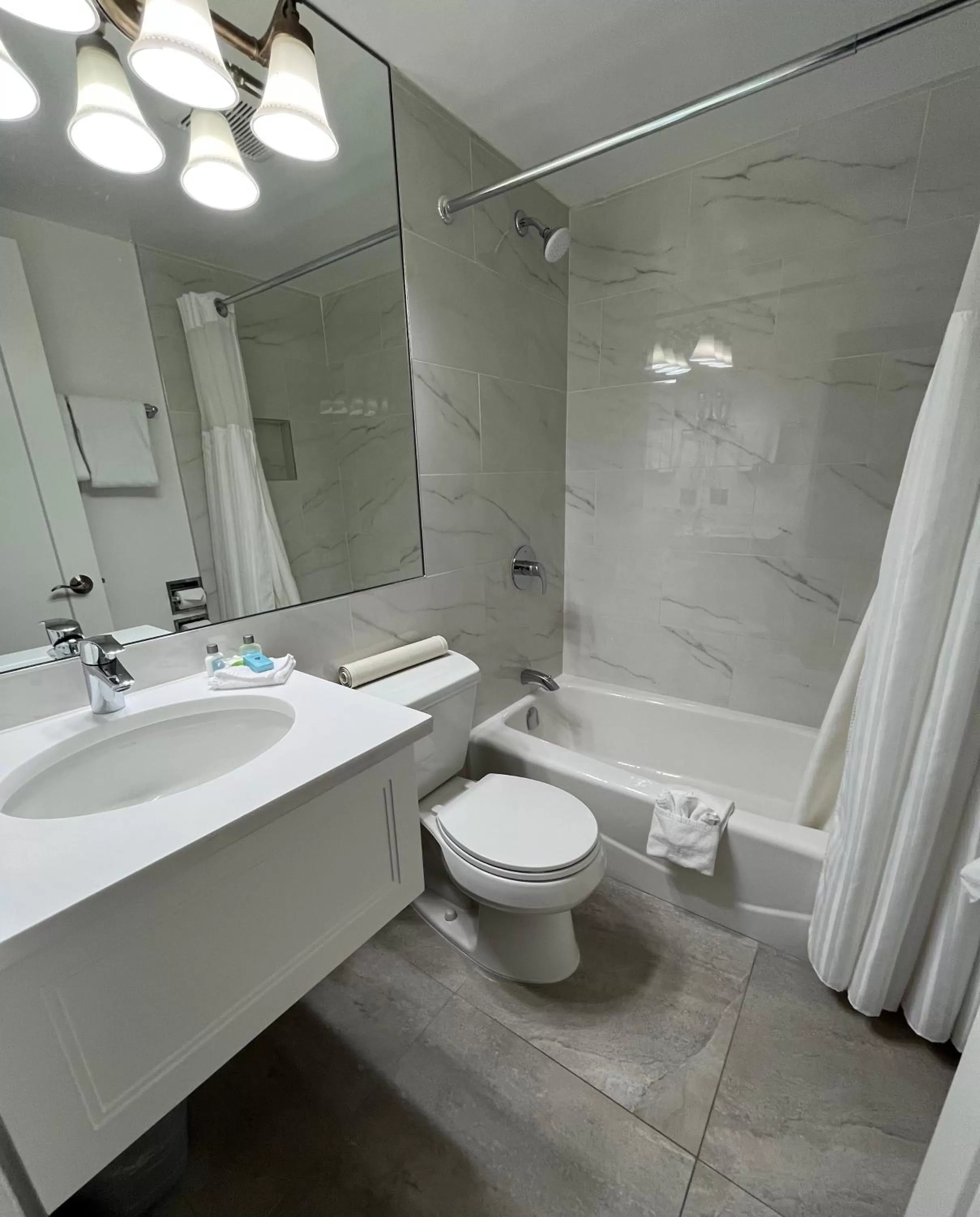 Toilet in Arbutus Inn