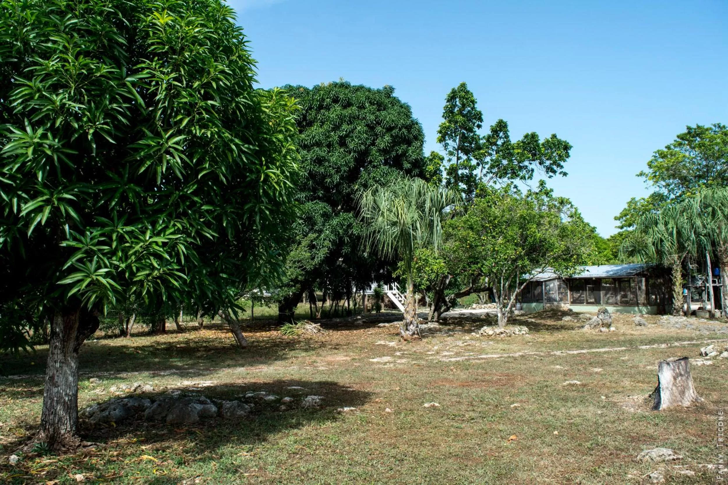 Property building, Garden in Horse Cottage
