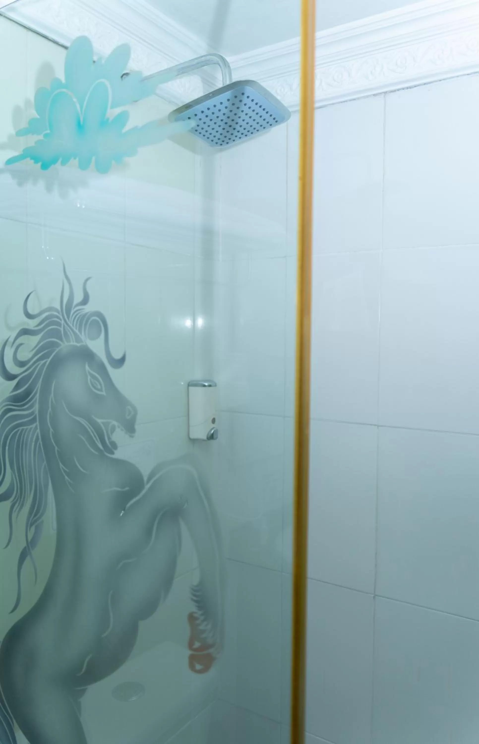 Bathroom in Hotel Aires del Quindío Armenia