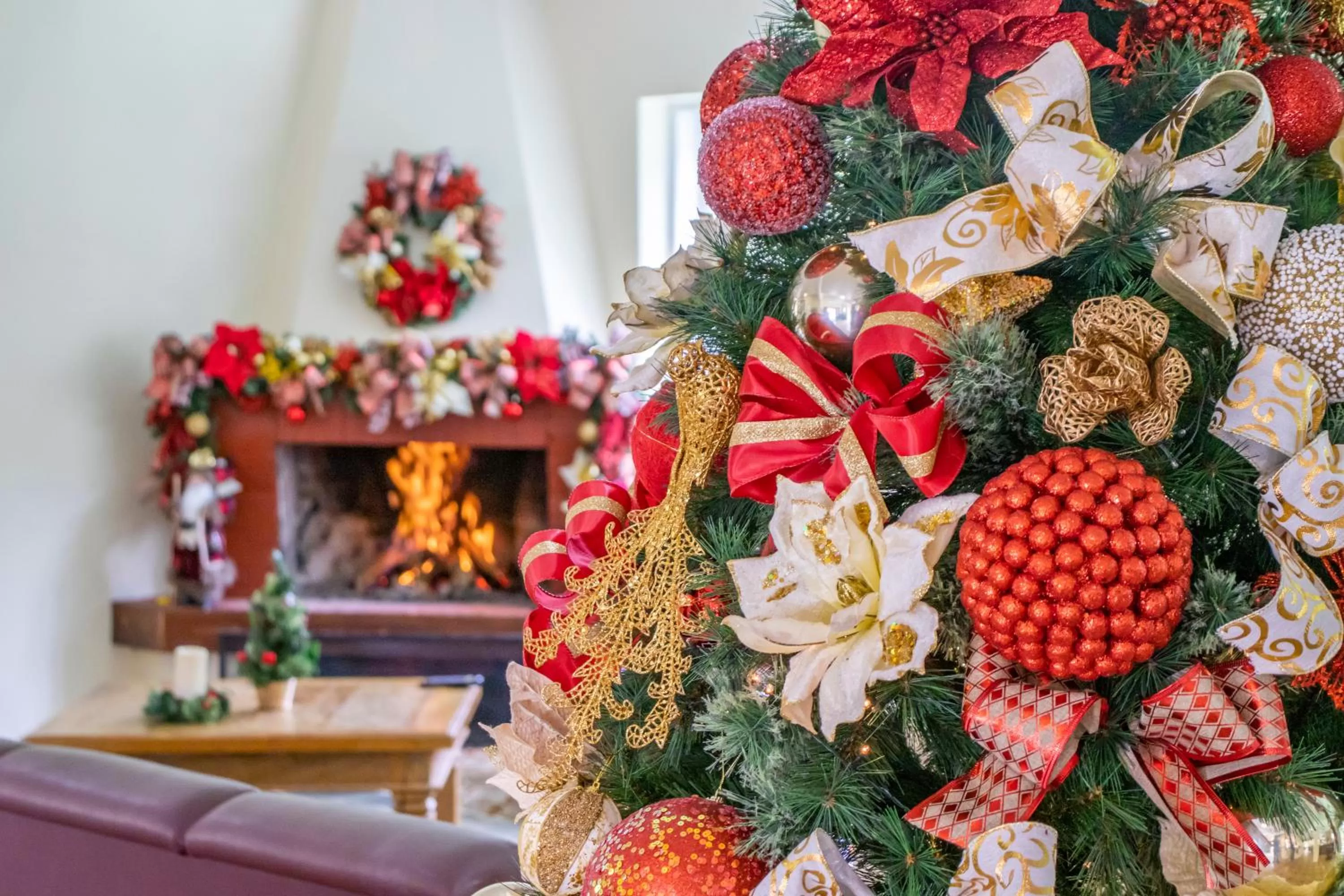 Communal lounge/ TV room in Green Village Hotel