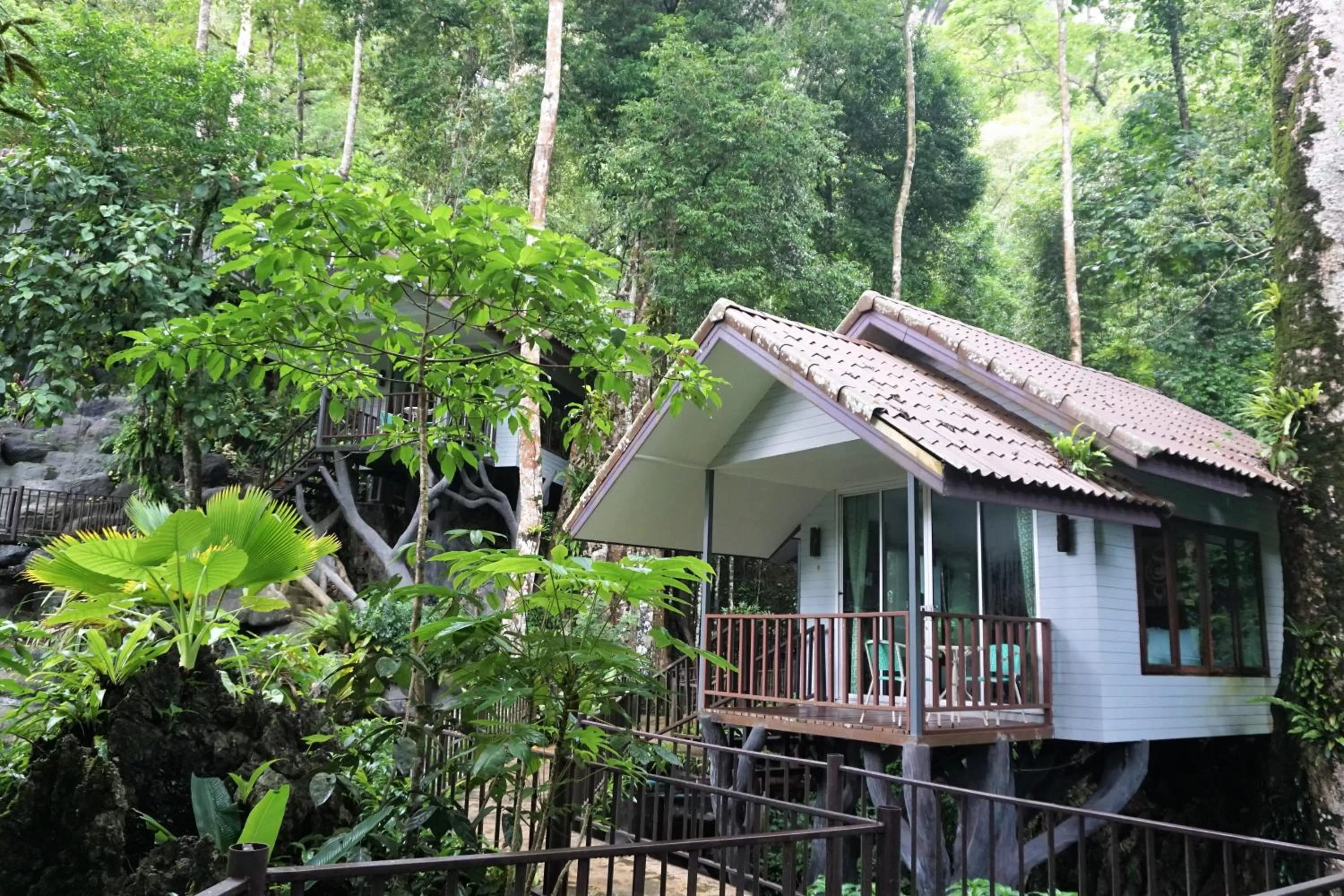 Property Building in Rock and Tree House Resort
