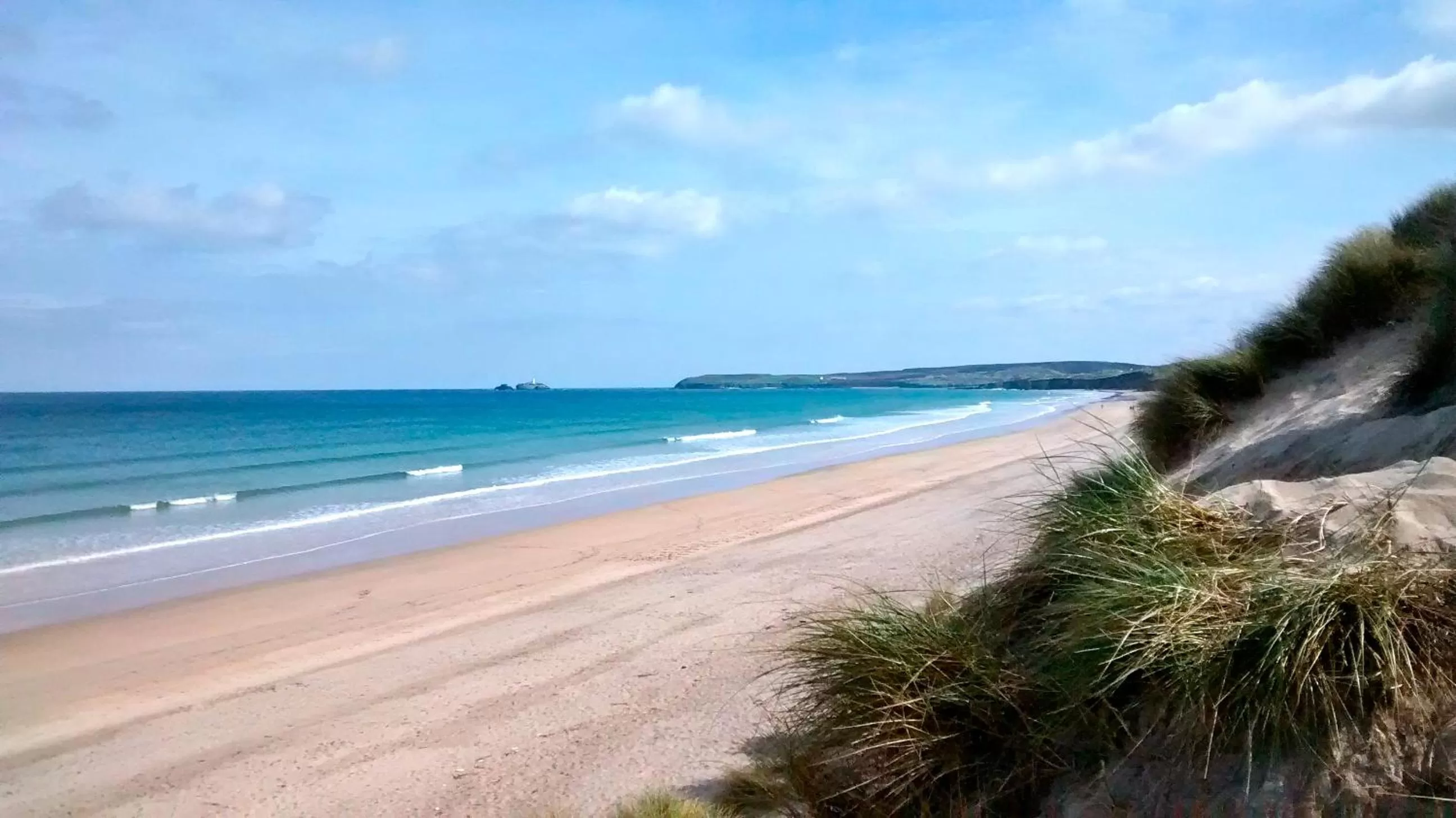 Area and facilities in Fig Tree House