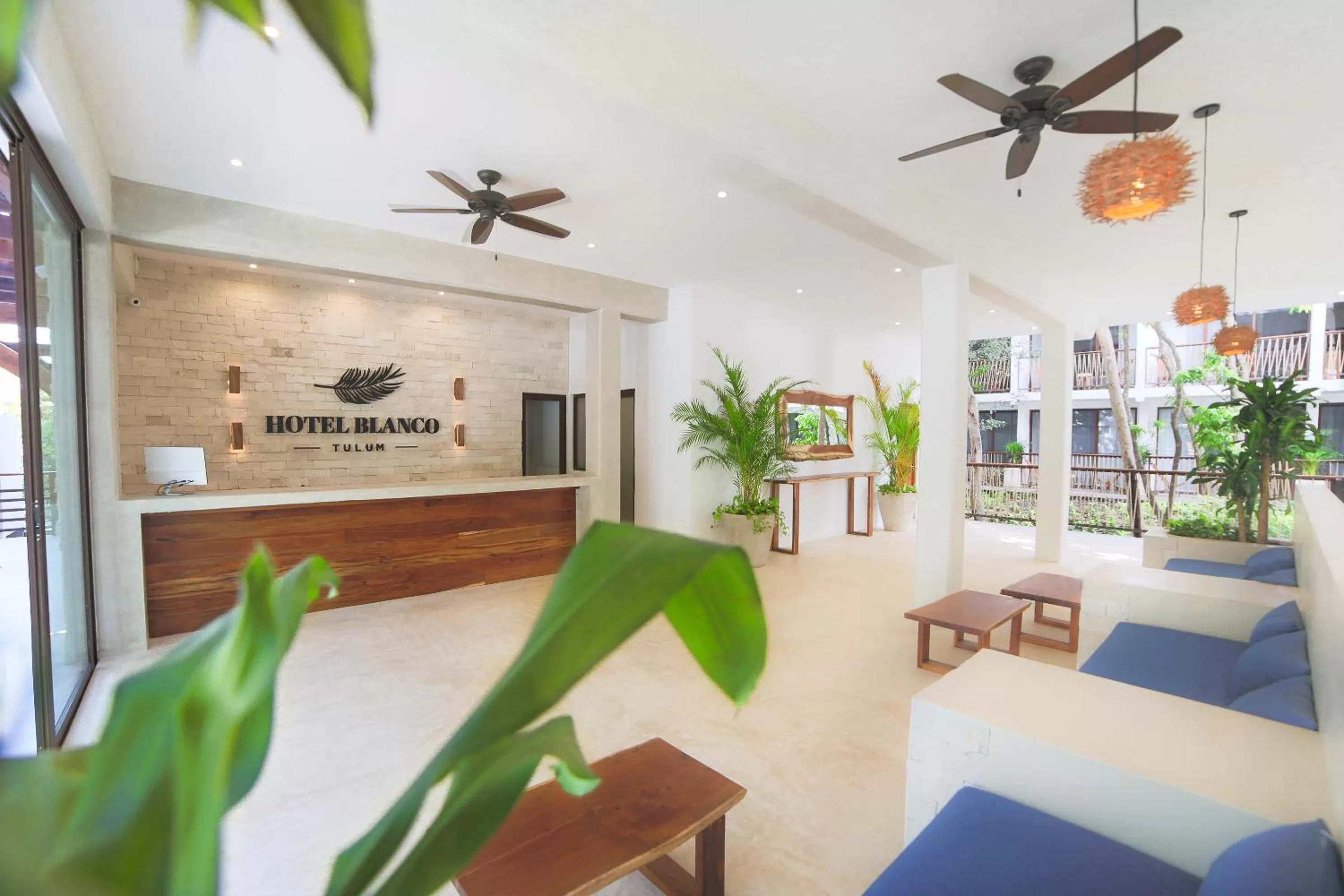 Communal lounge/ TV room in Hotel Blanco Tulum Adults Only