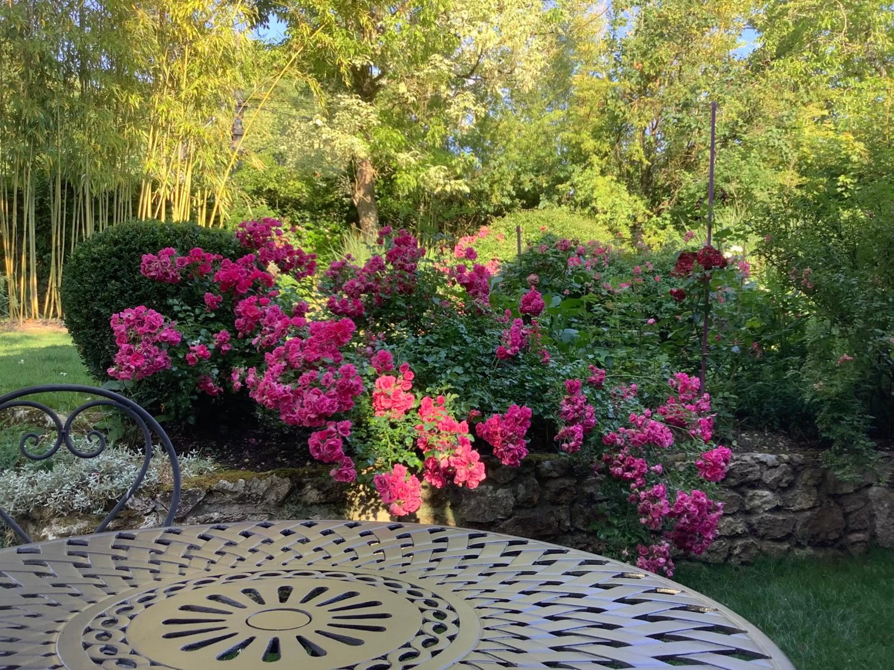 Garden view in Toute Une Histoire près de Fontainebleau