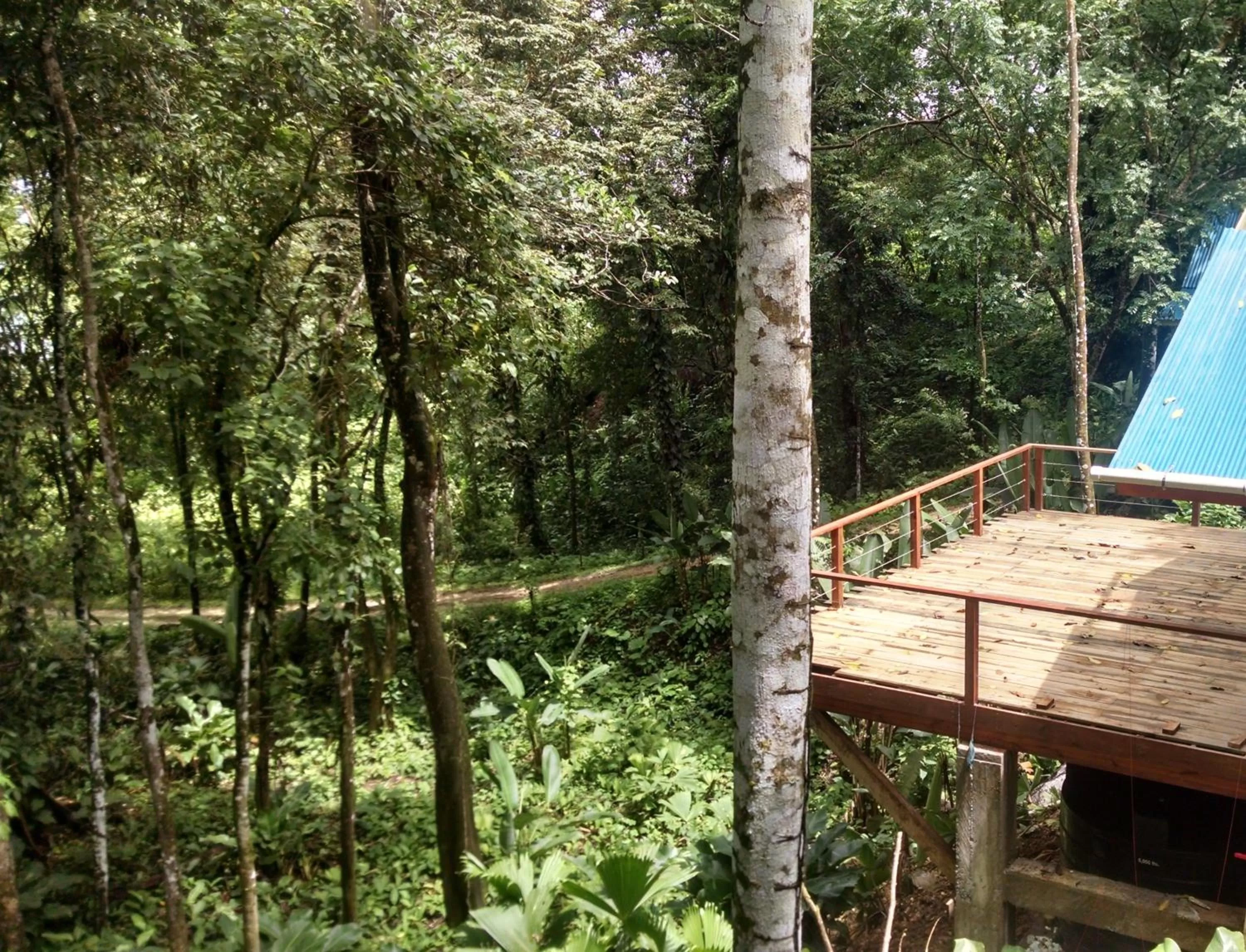 Property building in Surf Break at Paunch