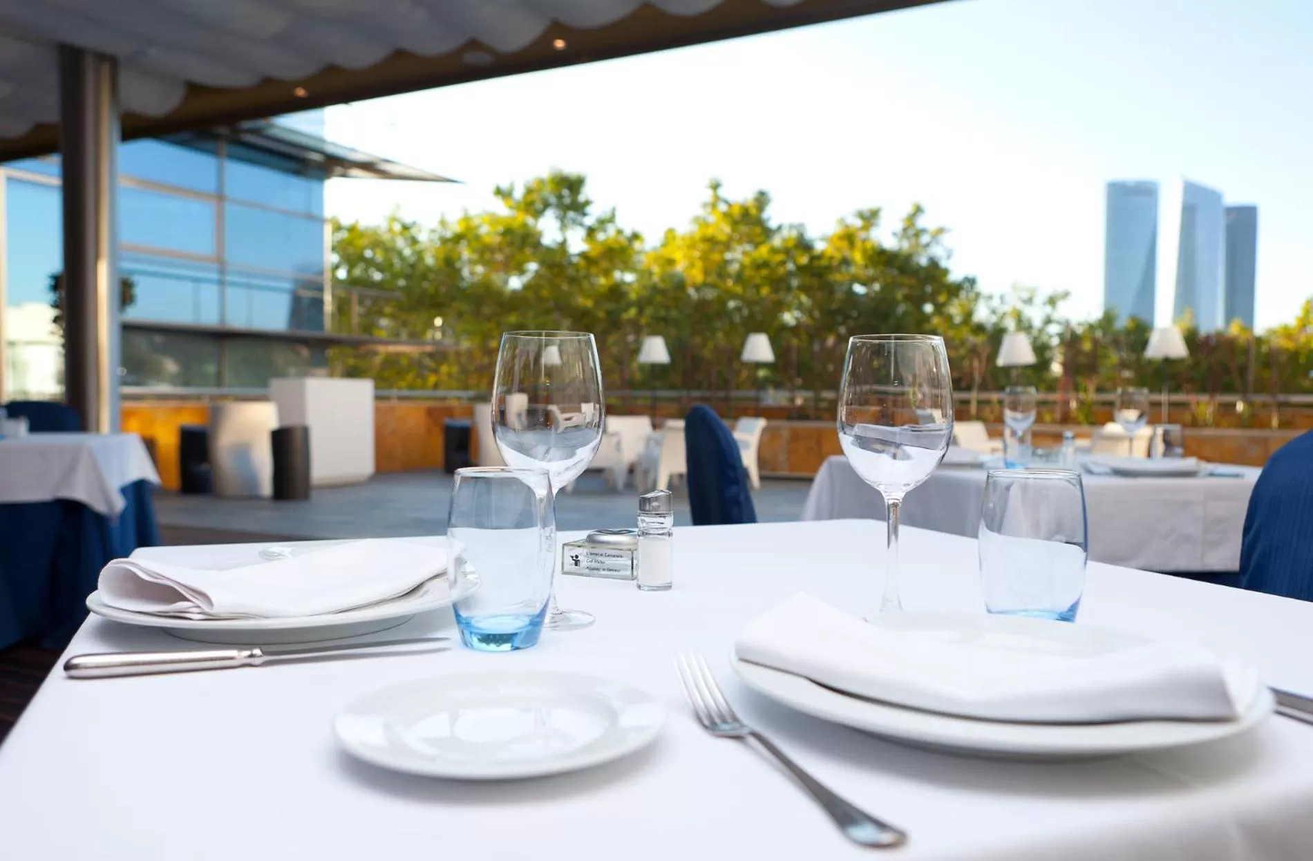 Balcony/Terrace in Hotel Villamadrid