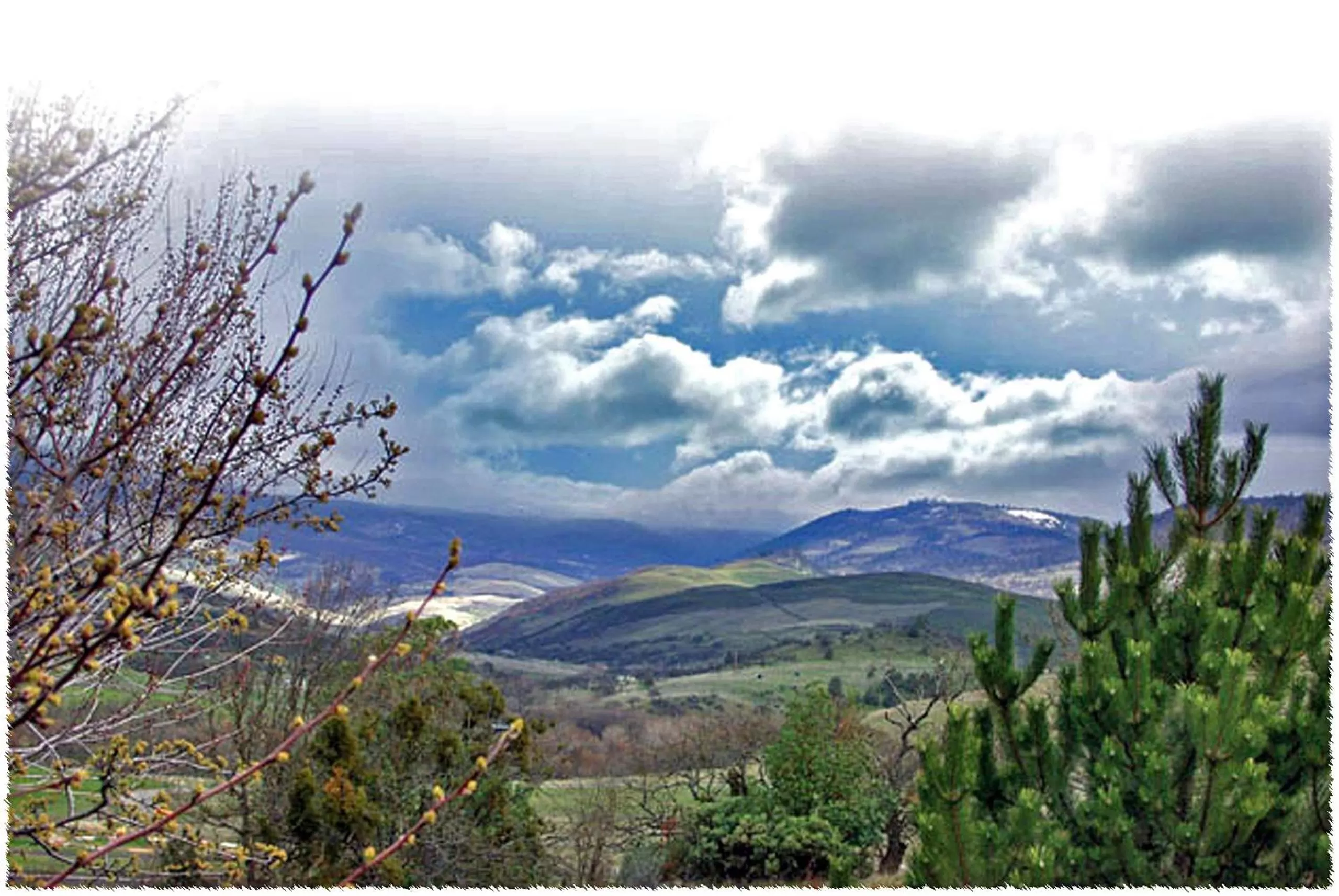 Area and facilities in Ashland Hills Hotel & Suites