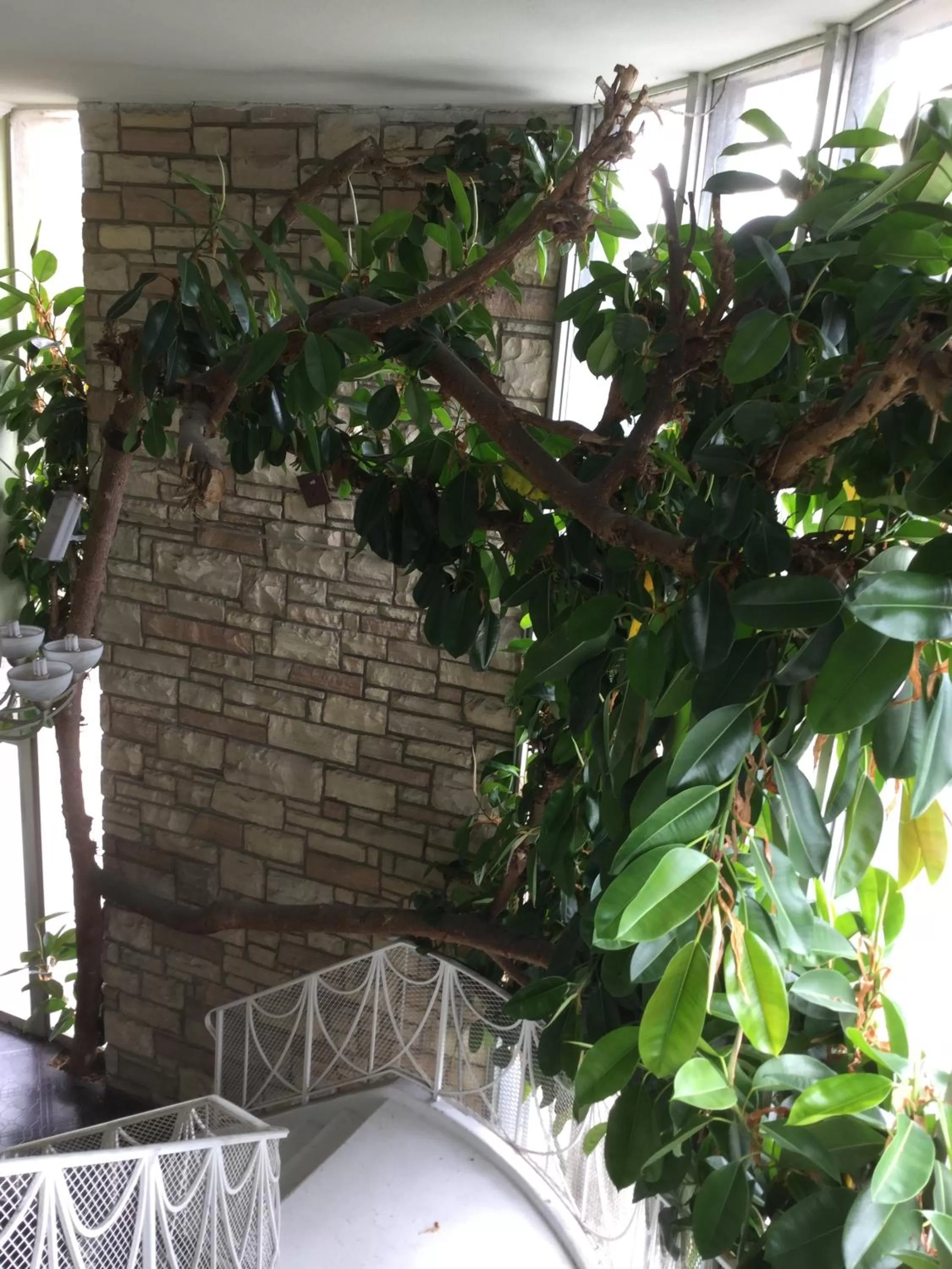 Decorative detail in Bevonshire Lodge Motel