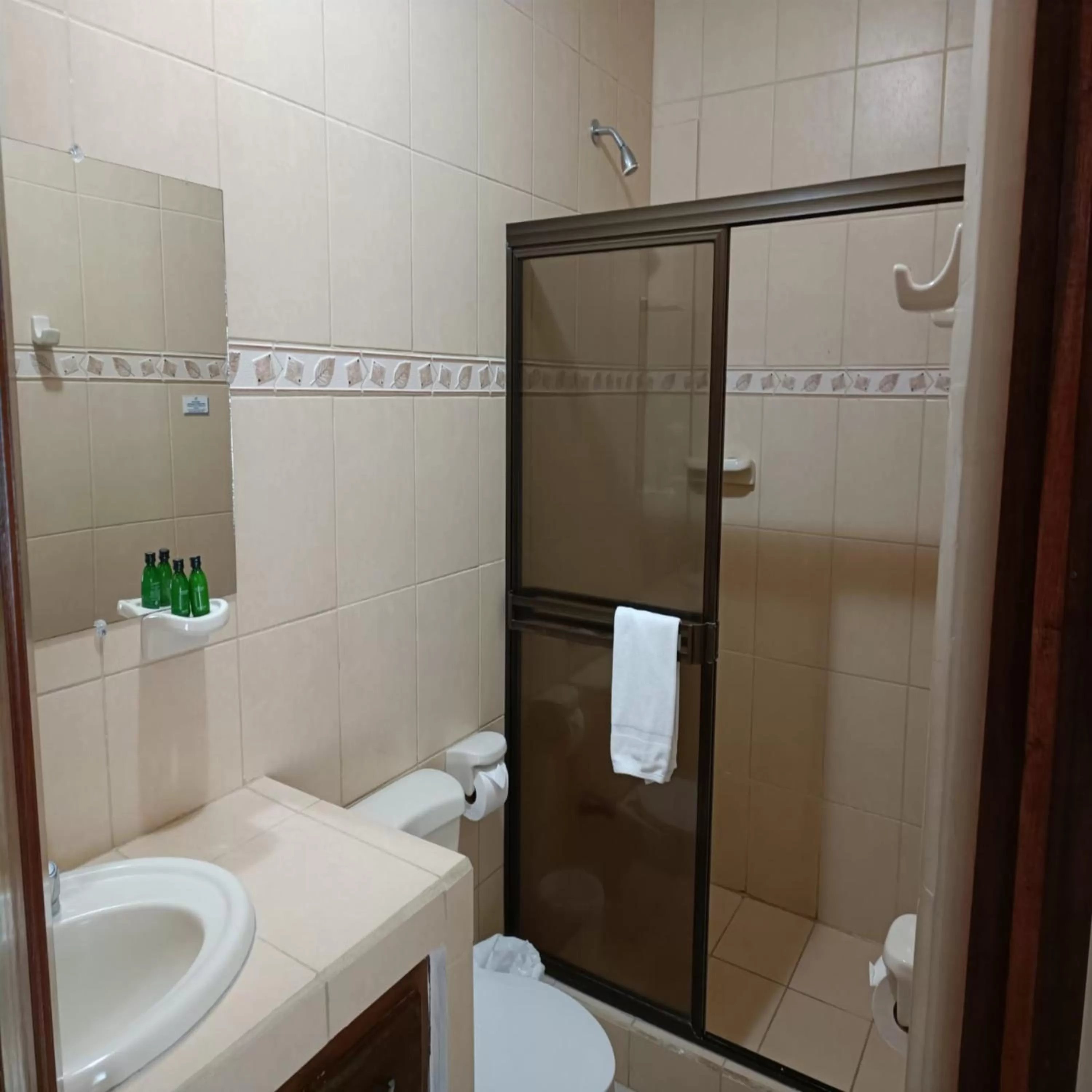 Bathroom in Hotel Punta Leona