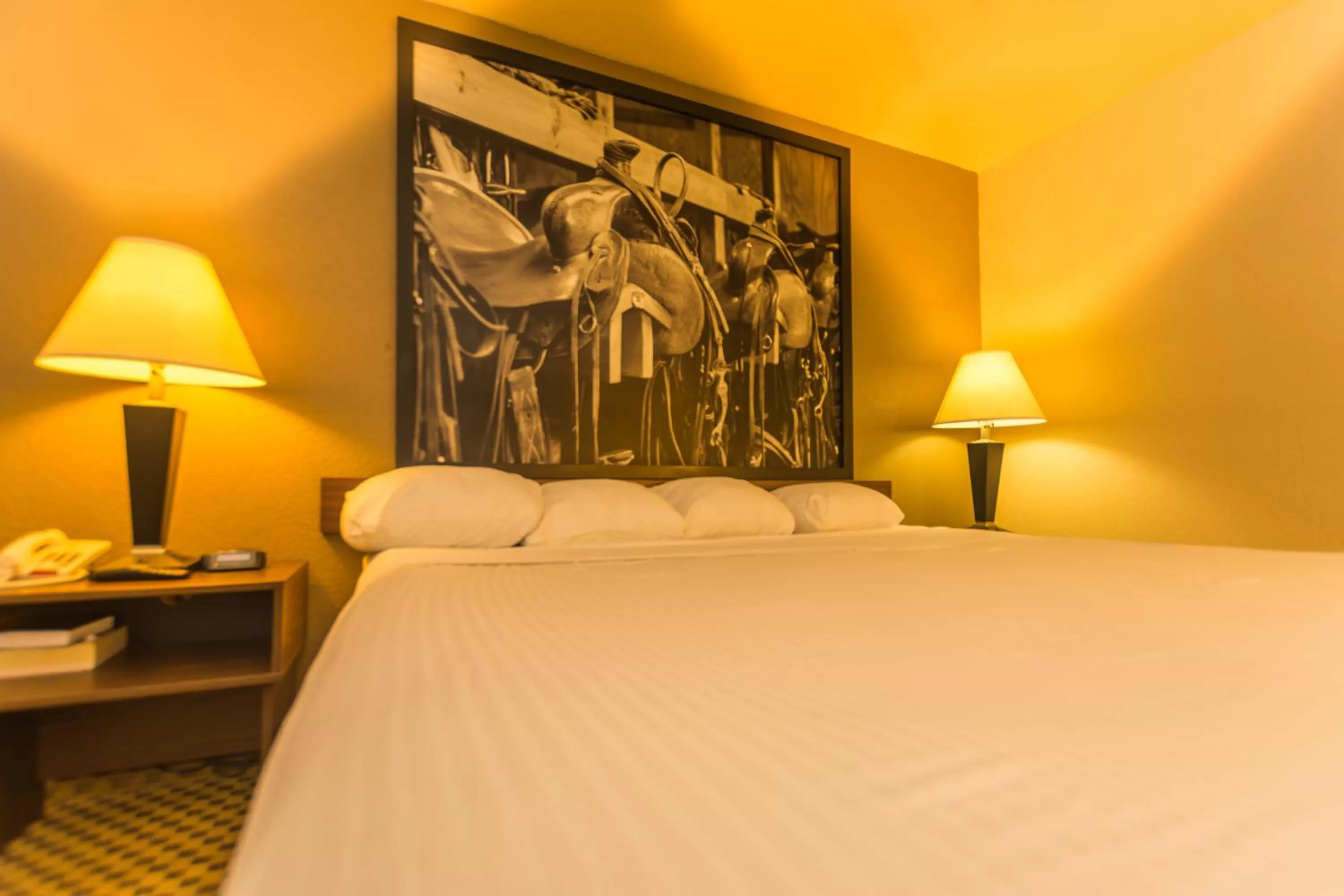 Photo of the whole room, Bed in Super 8 by Wyndham Oklahoma Airport Fairgrounds West