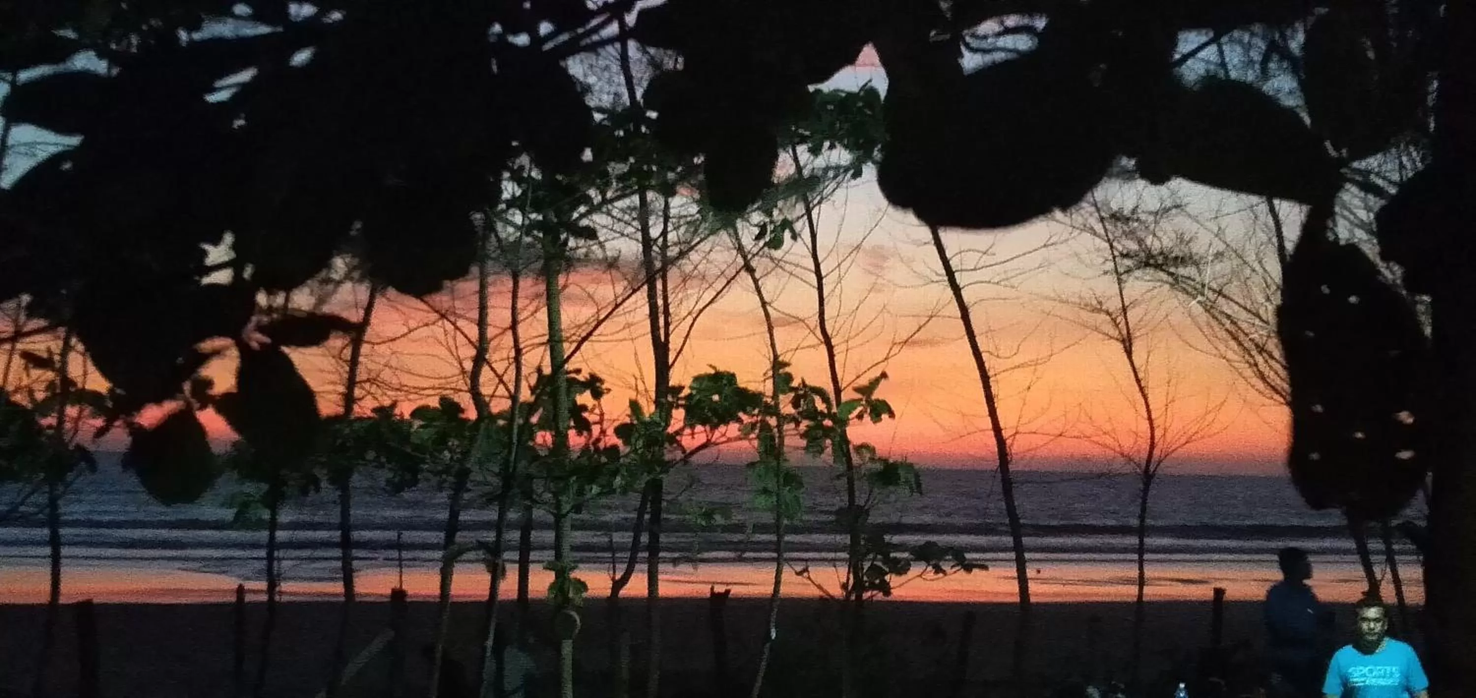 Natural landscape in OmBodhi Retreat