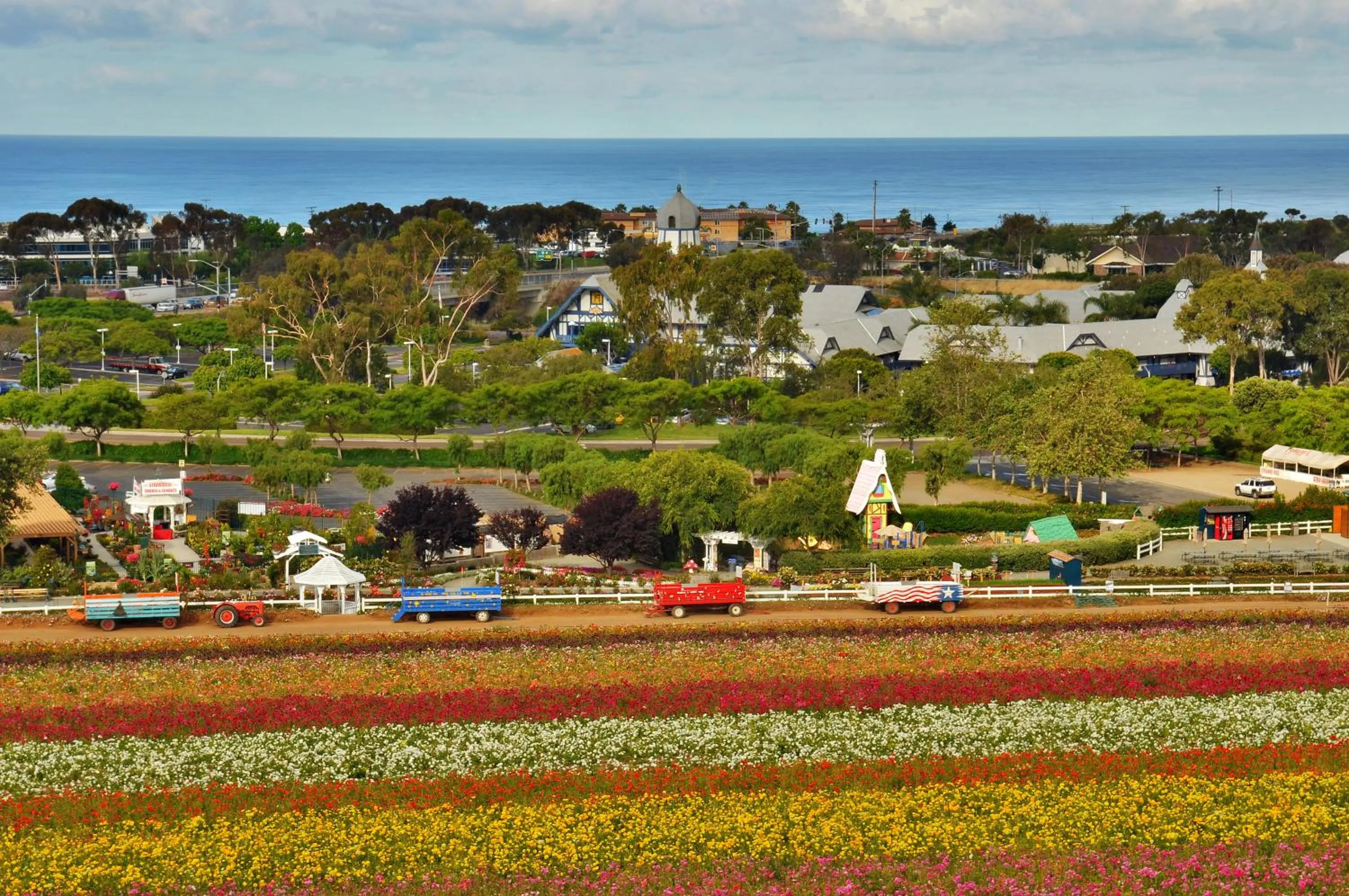 Area and facilities in Grand Pacific Palisades Resort