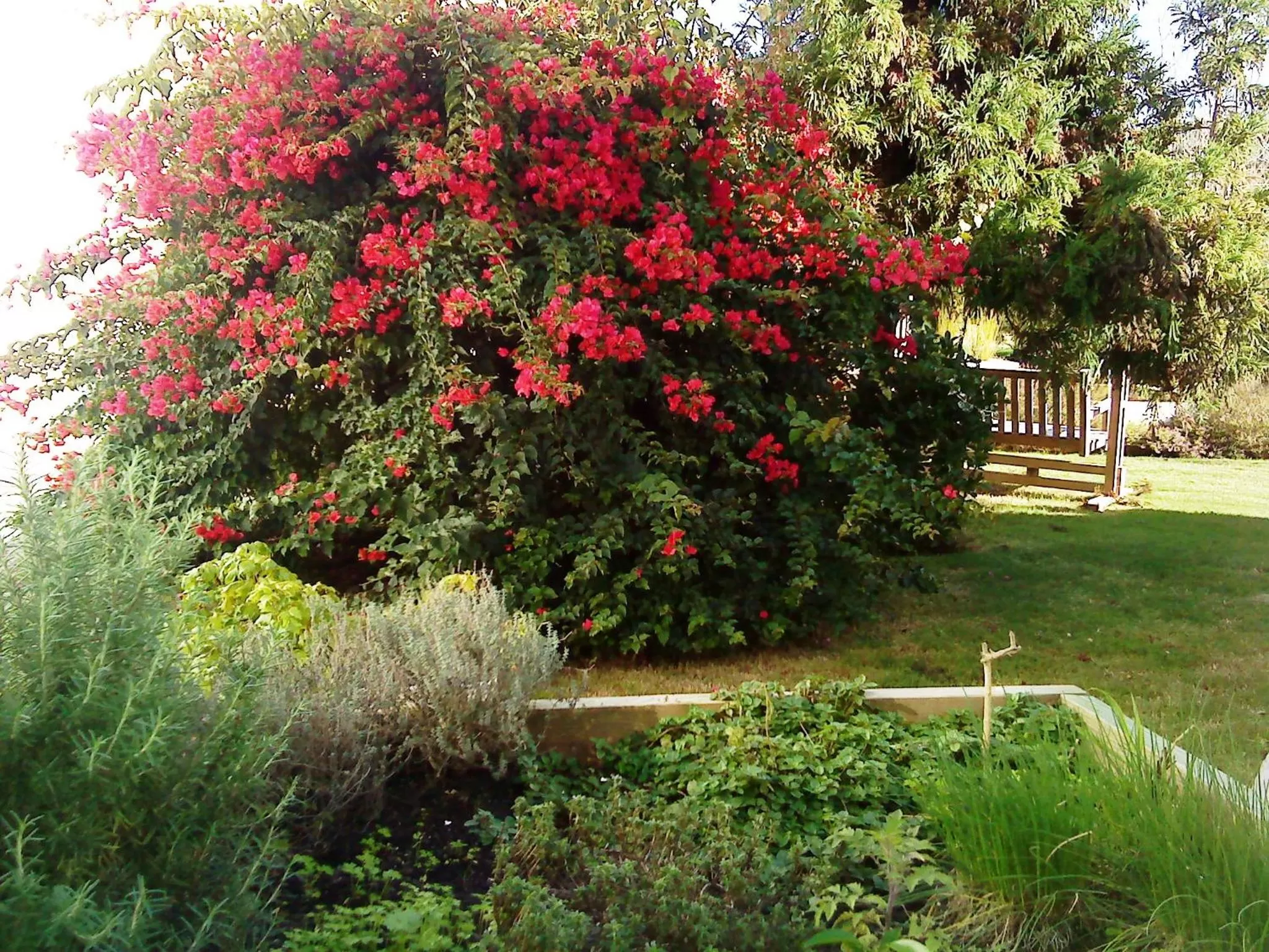 Garden in Posada de los Pajaros