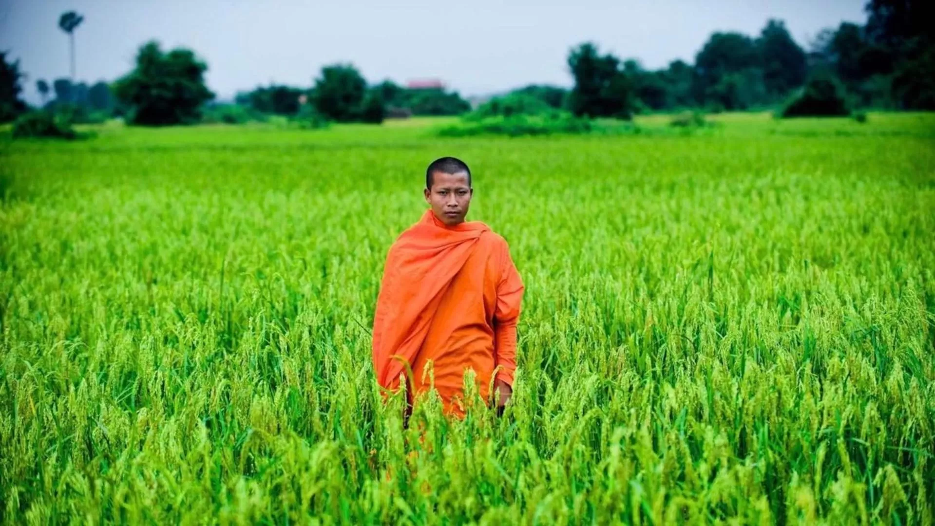 People in White Mansion 白色公馆