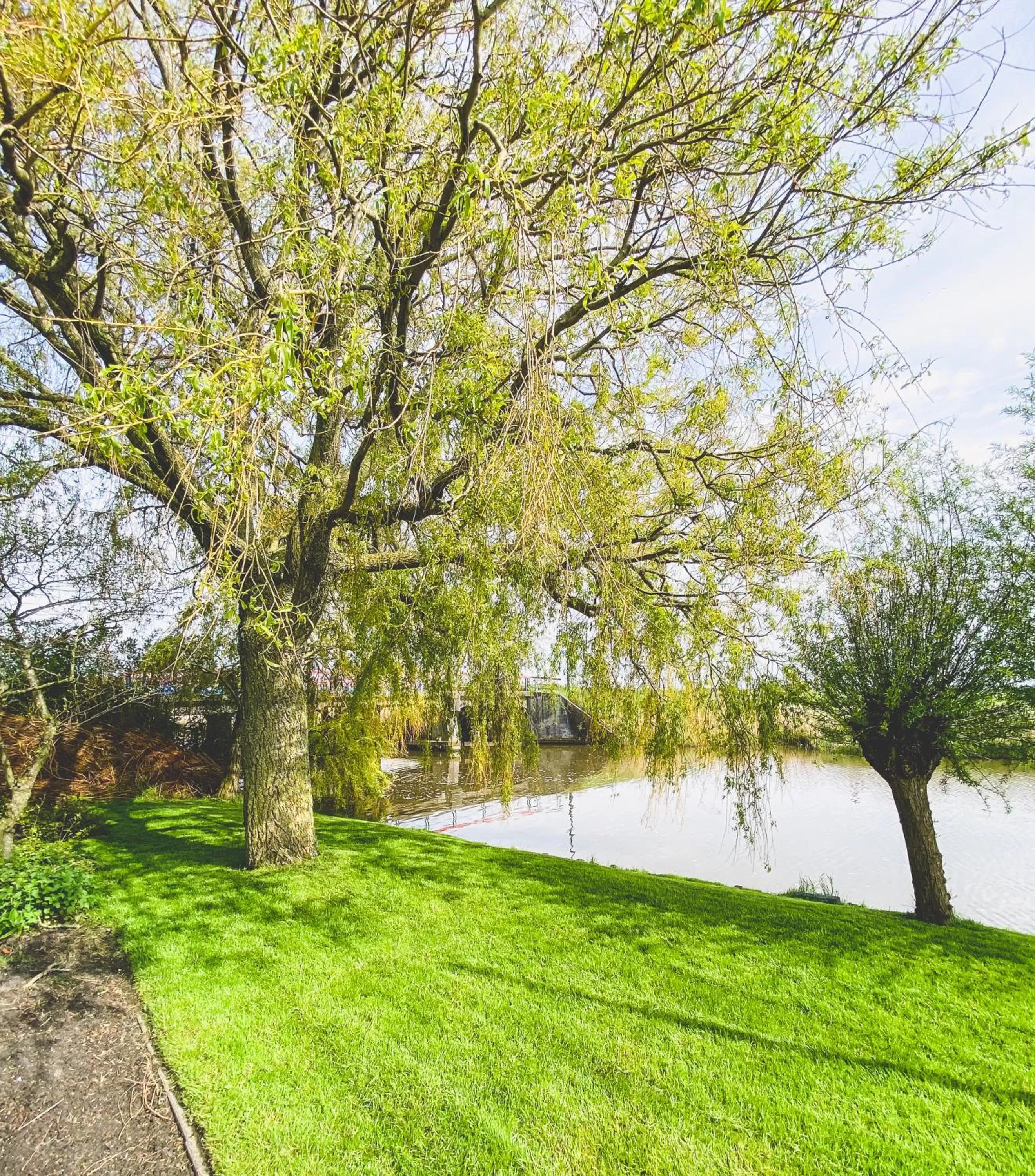 Garden in Stay-Inn Harlingen
