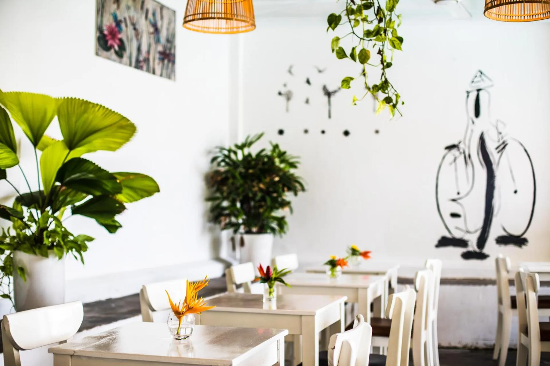 Miana Resort Phu Quoc